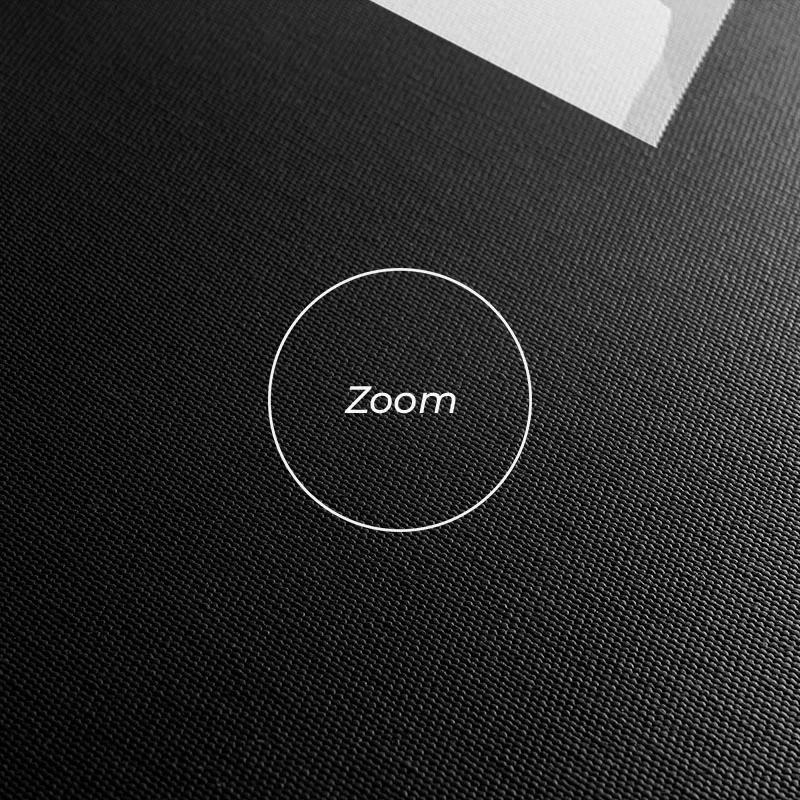 Картина на многоплатна основа Zebra Color Set mockup 1