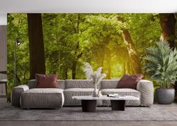 Forest Road mockup 4