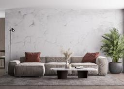 Grey Concrete Crack mockup 4