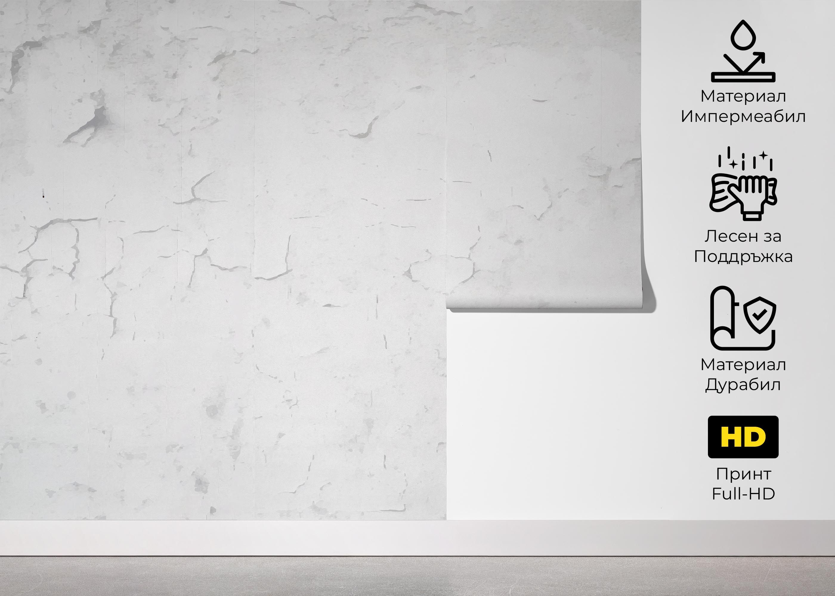 Grey Concrete Crack mockup 5