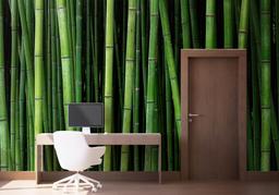 Green Bamboo mockup 1