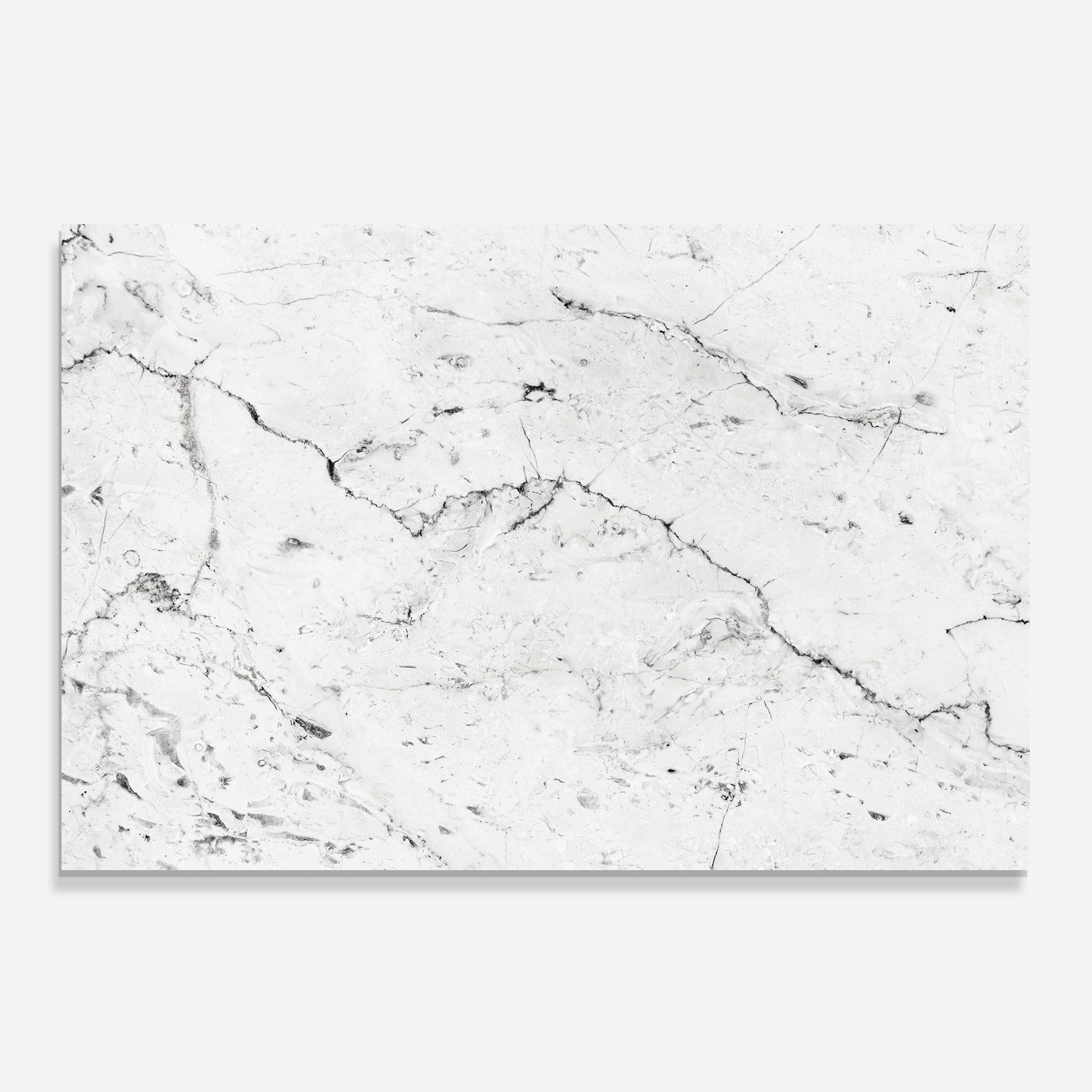 Light Green Dark Lines mockup 0