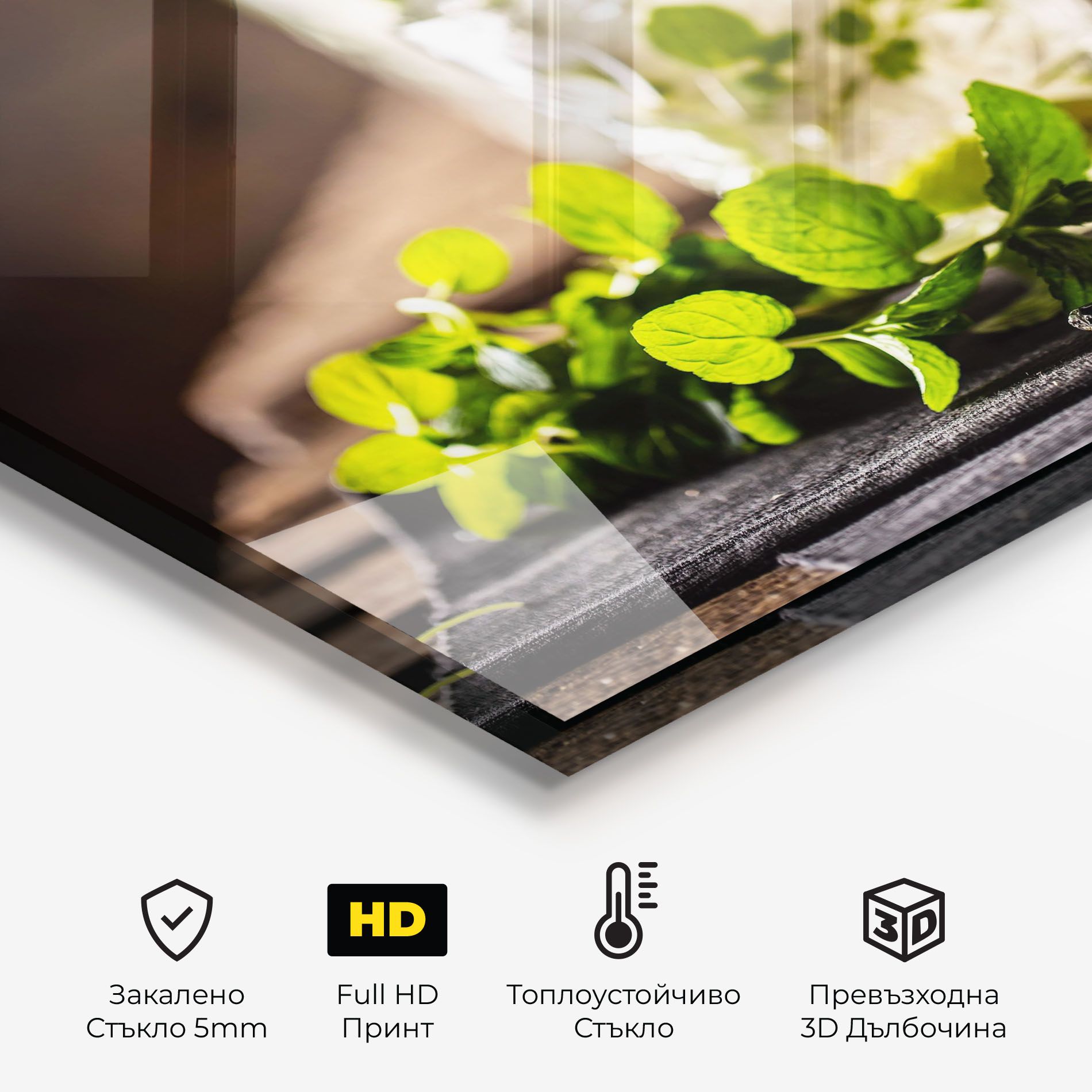 Fresh Mint Lime mockup 2