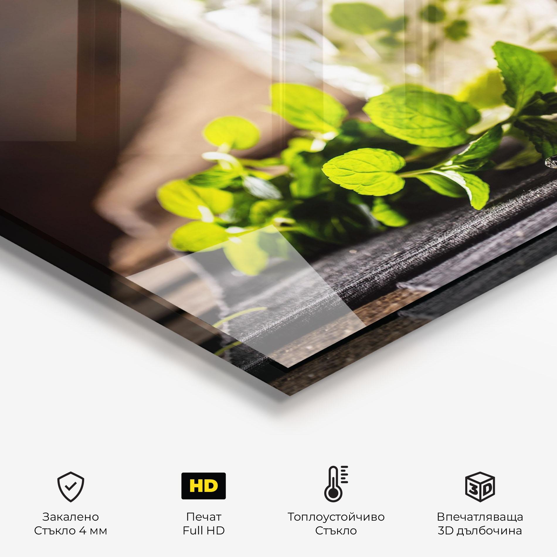 Стъклен панел за кухня Fresh Mint Lime mockup 2