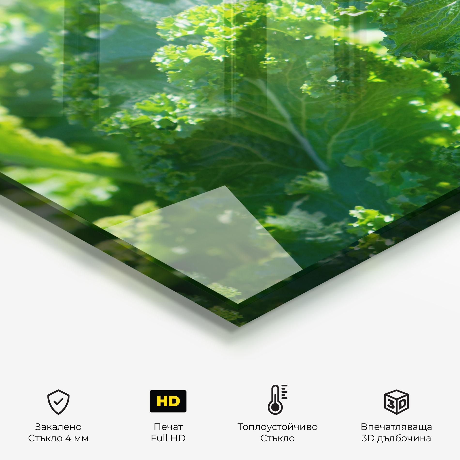 Стъклен панел за кухня Lettuce View mockup 2