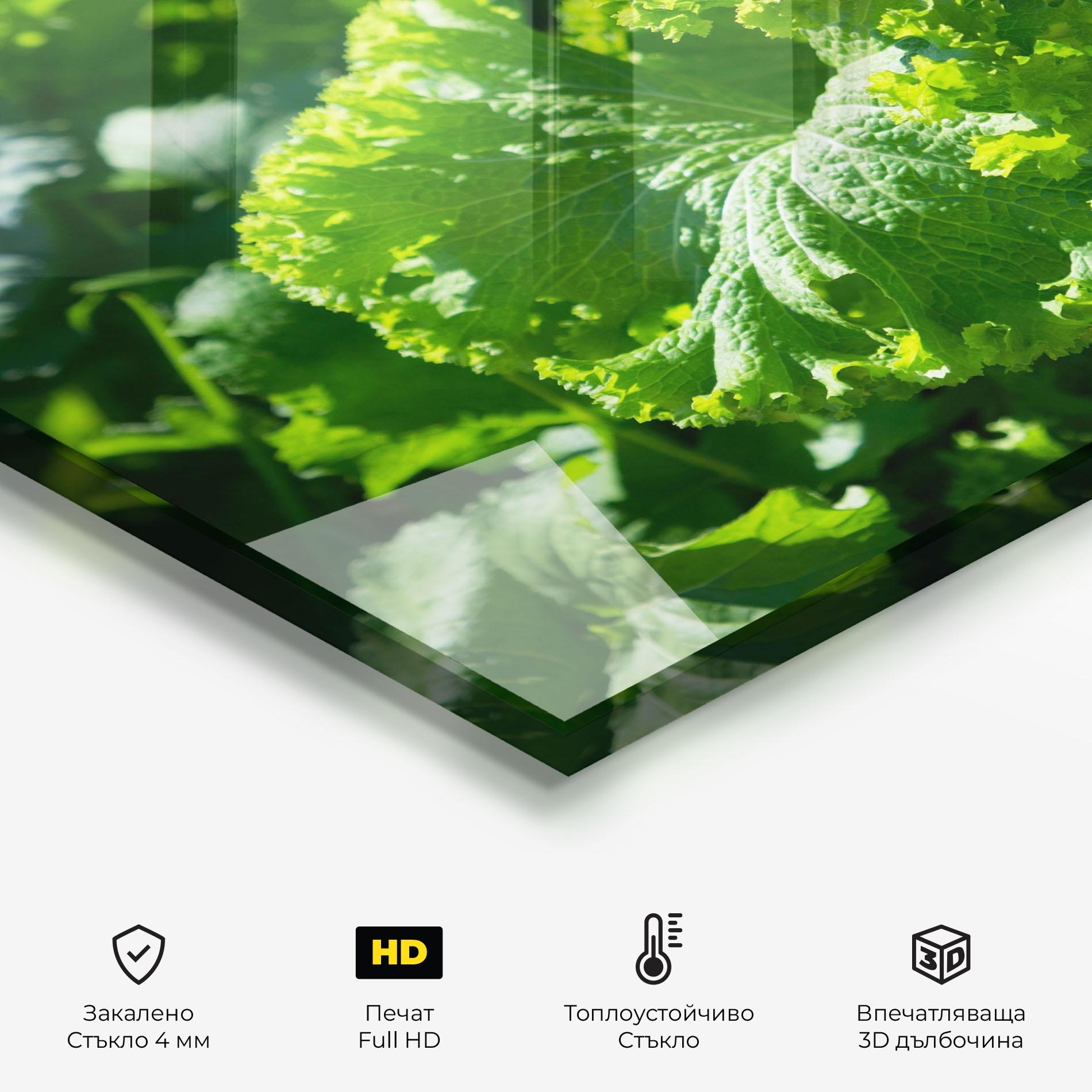Стъклен панел за кухня Preetty Green Lettuce mockup 2