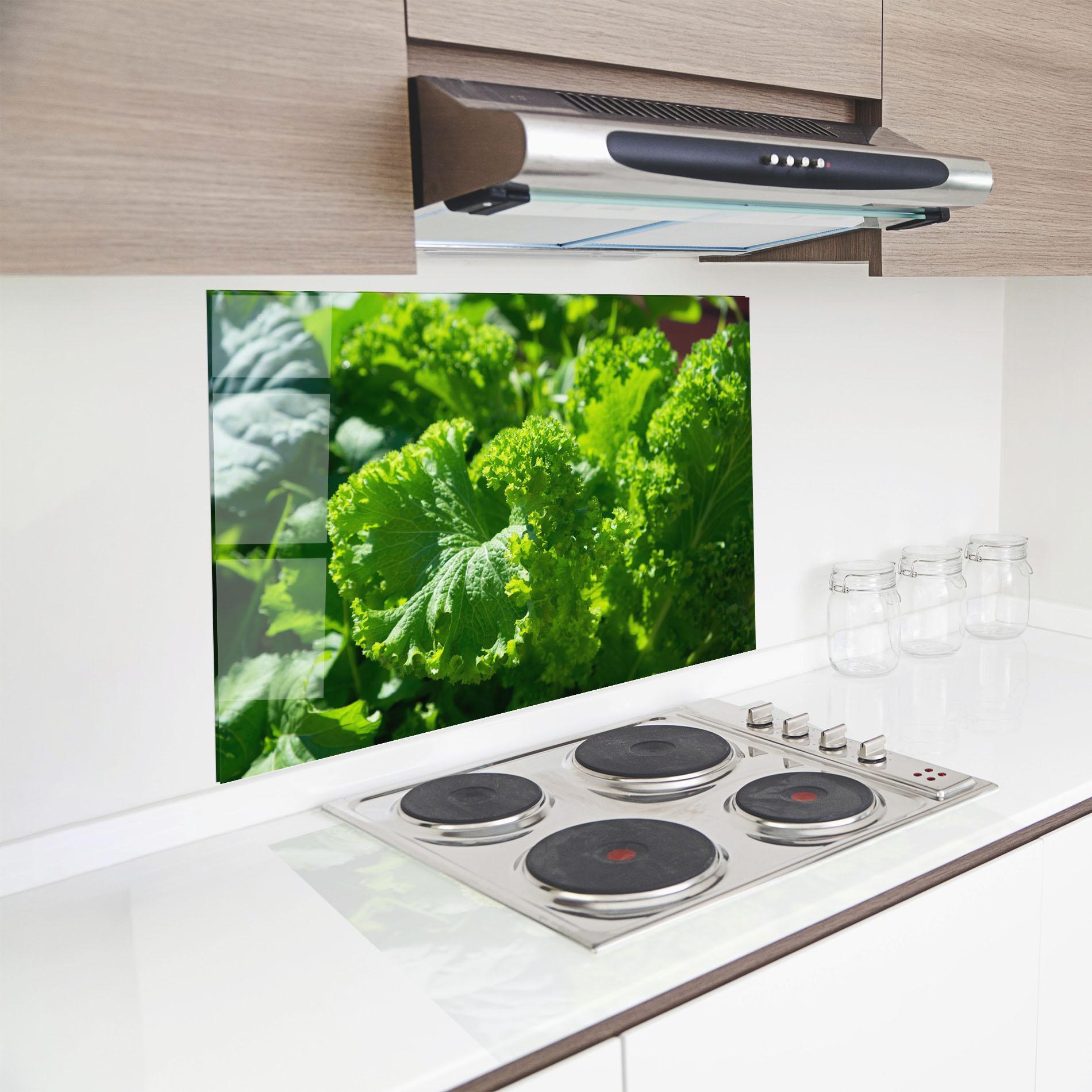 Стъклен панел за кухня Preetty Green Lettuce mockup 8