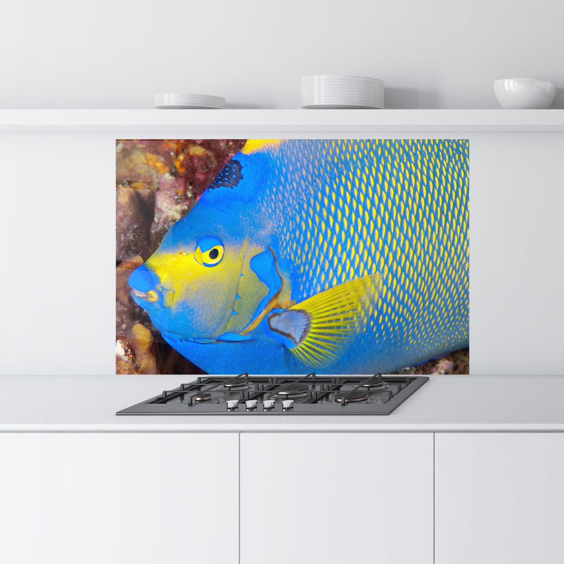Стъклен панел за кухня Blue Yellow Fish mockup 9