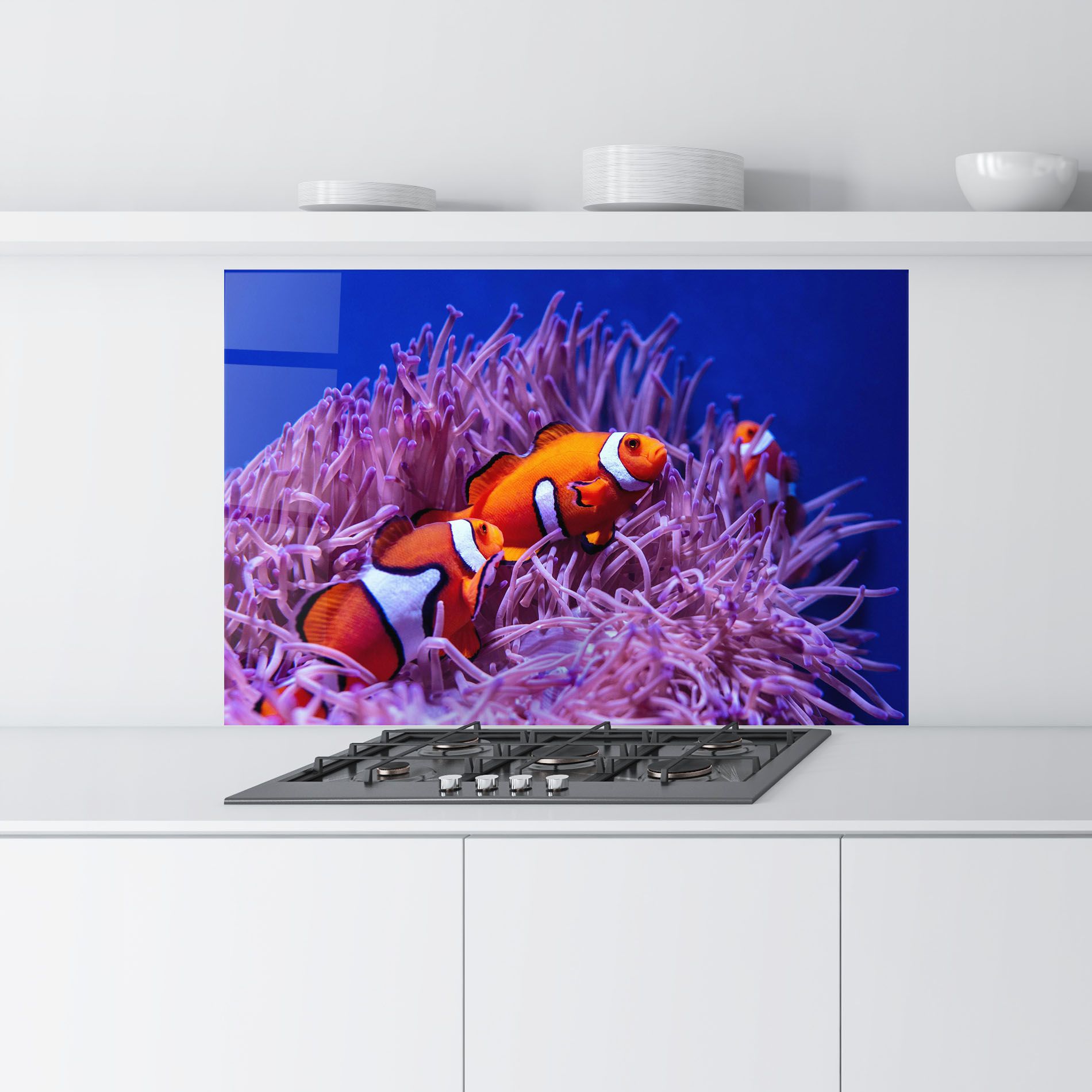 Nemo Family mockup 9