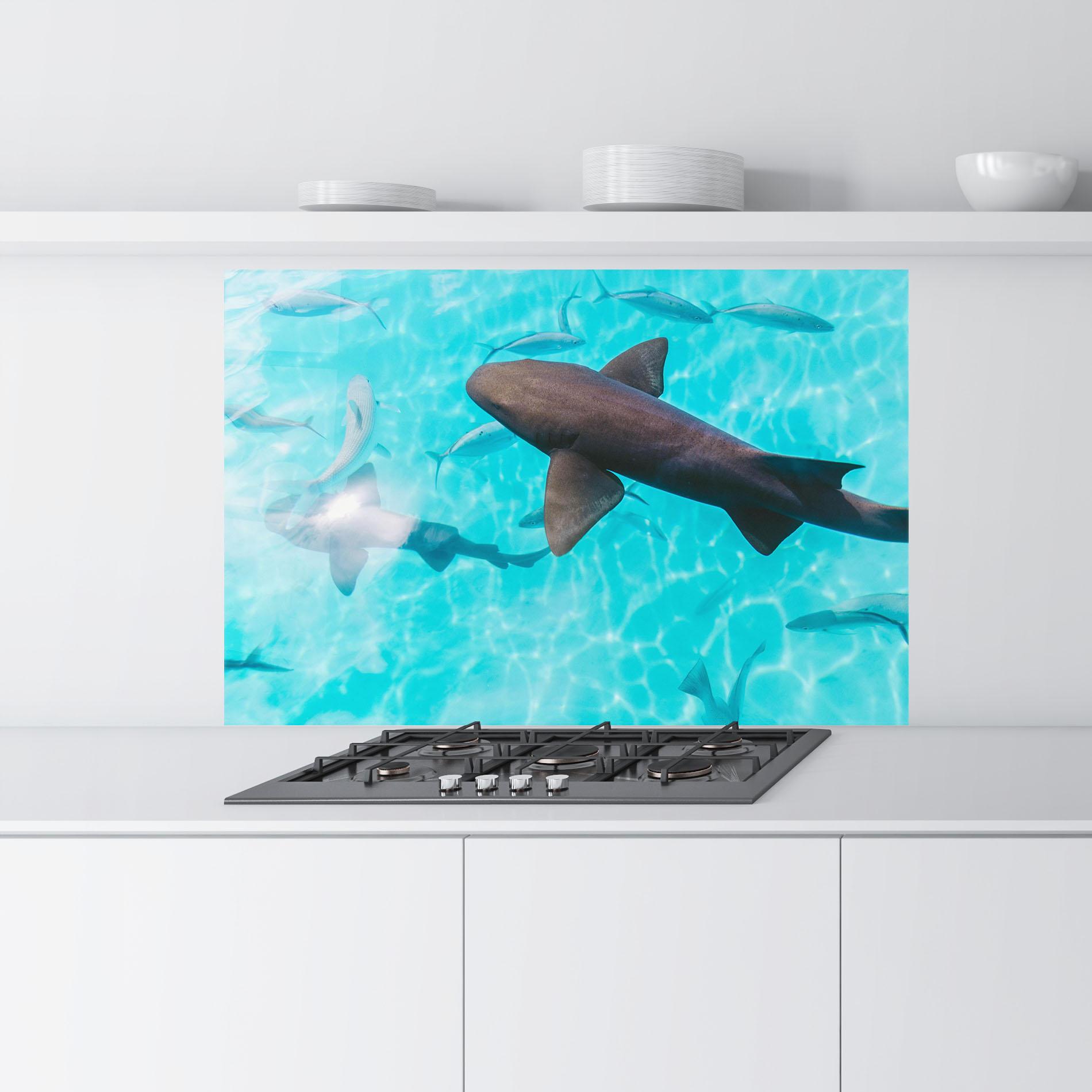 Стъклен панел за кухня Pretty Shark mockup 9