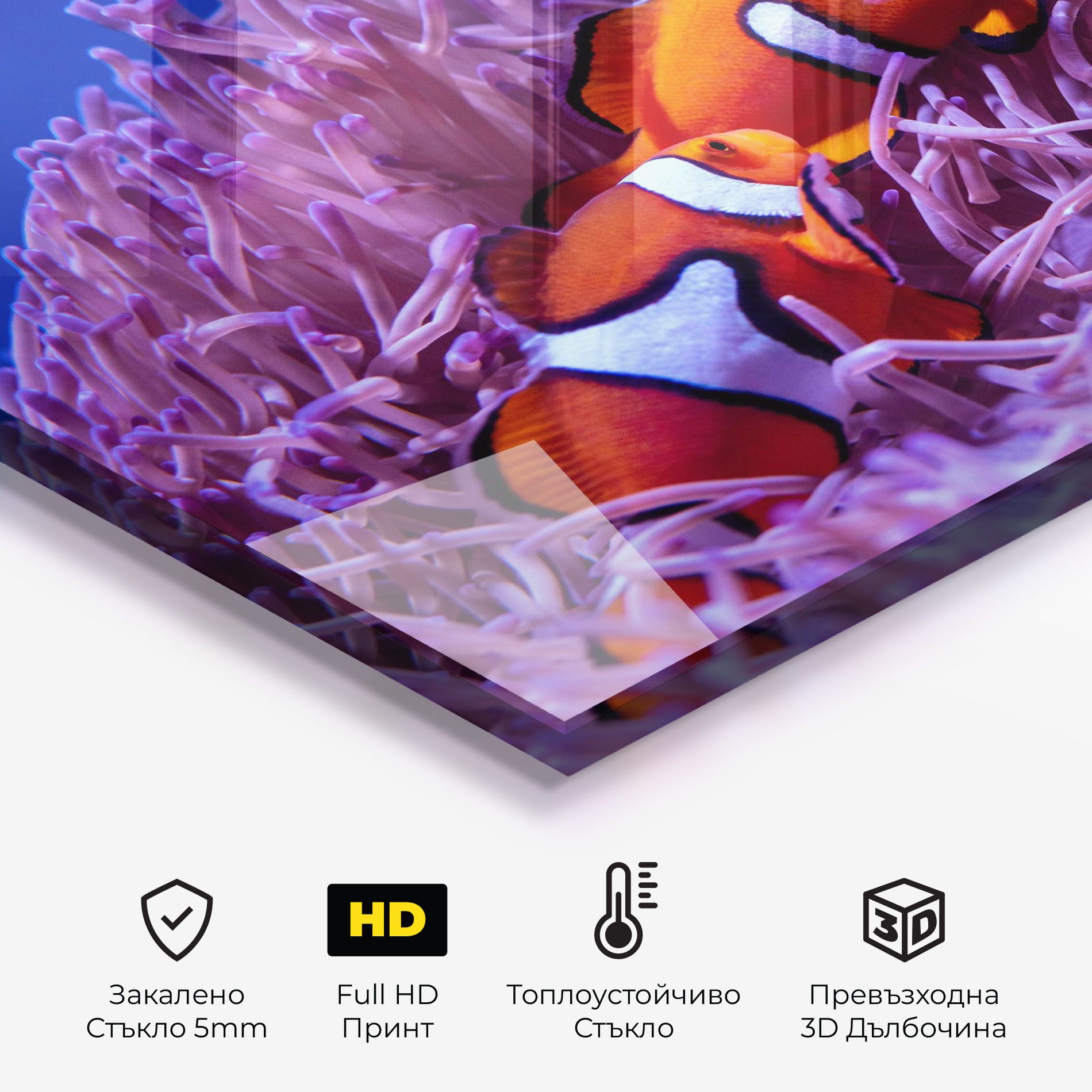 Nemo Family mockup 2