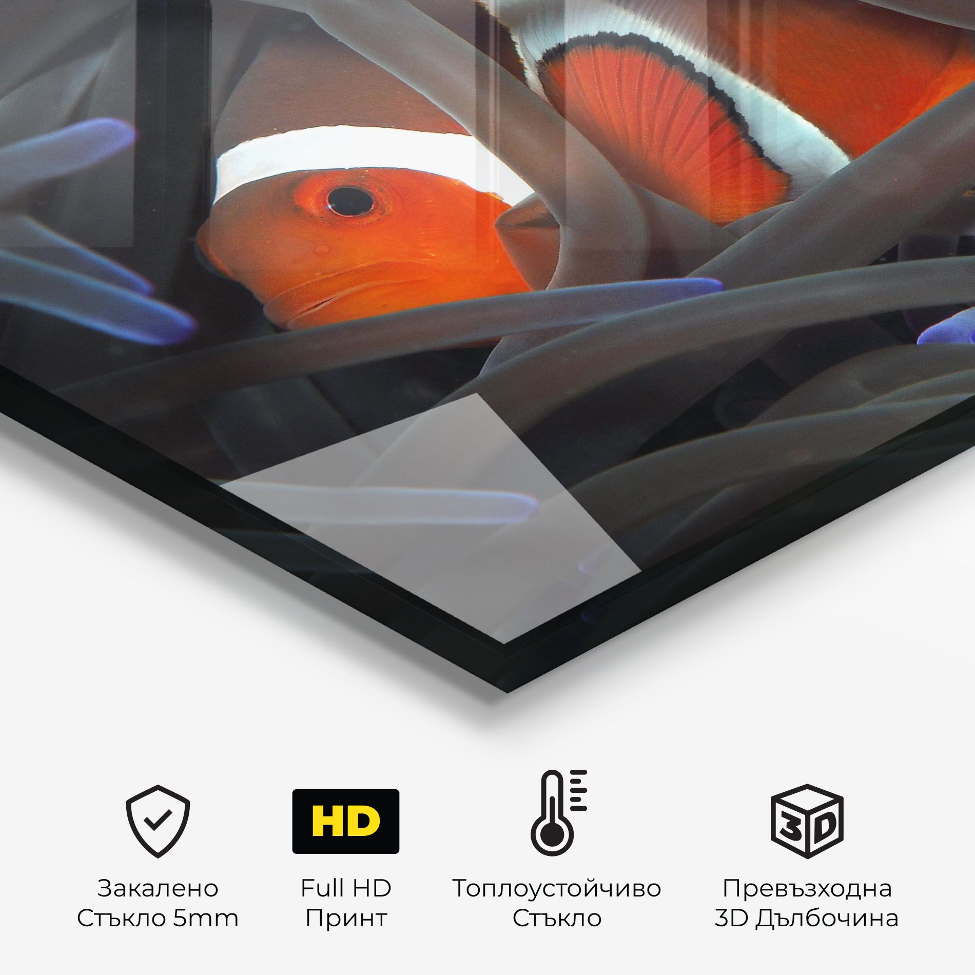 Nemo Hiding mockup 2