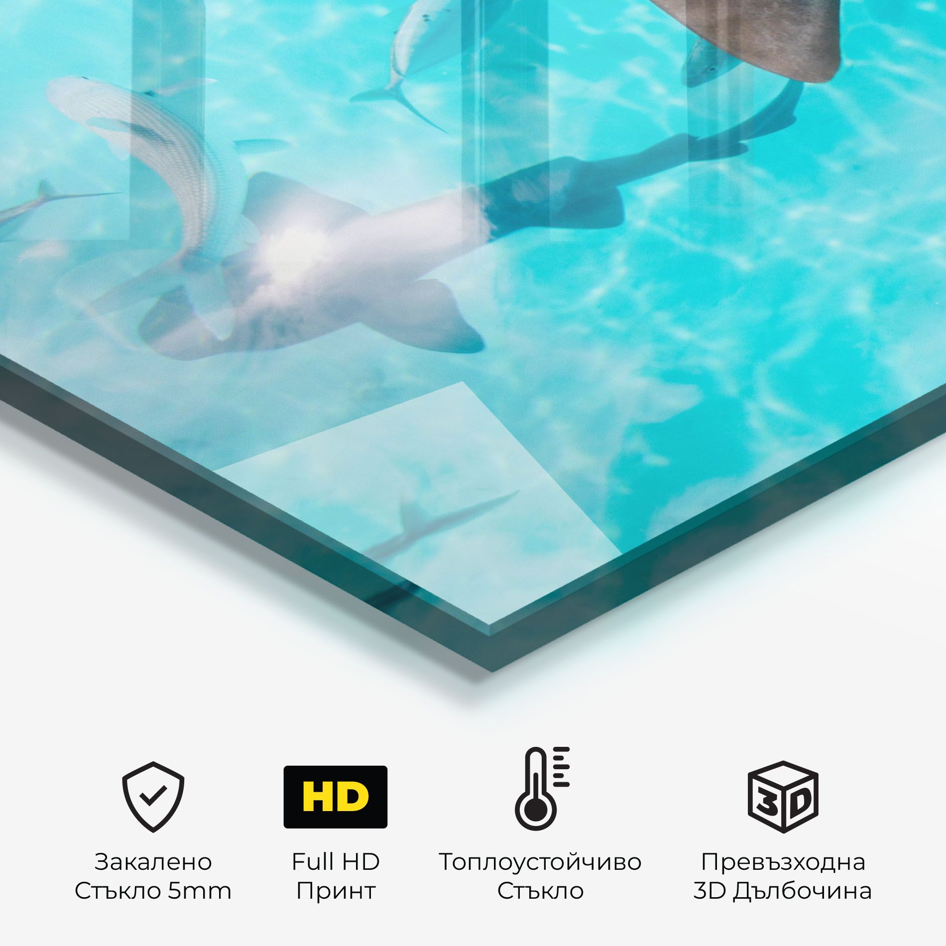 Pretty Shark mockup 2