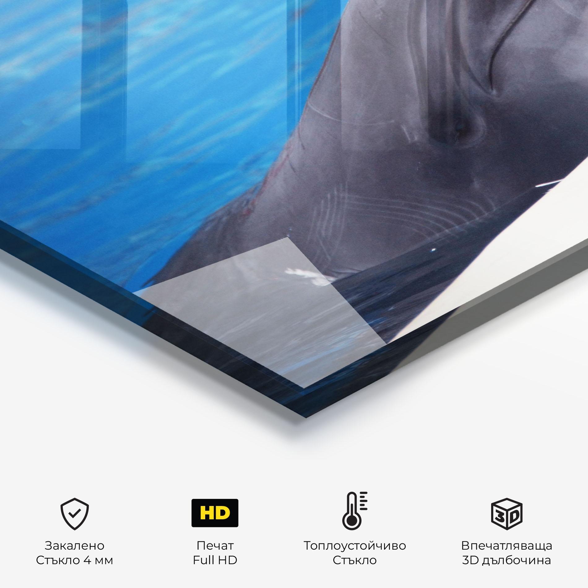 Стъклен панел за кухня Cute Dolphin mockup 2