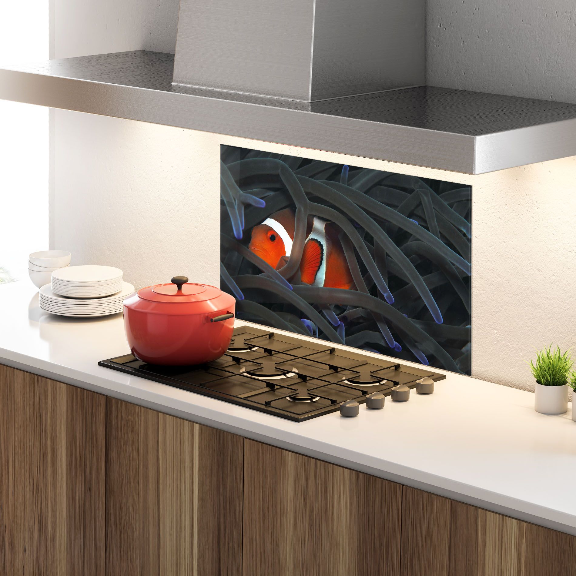 Nemo Hiding mockup 4