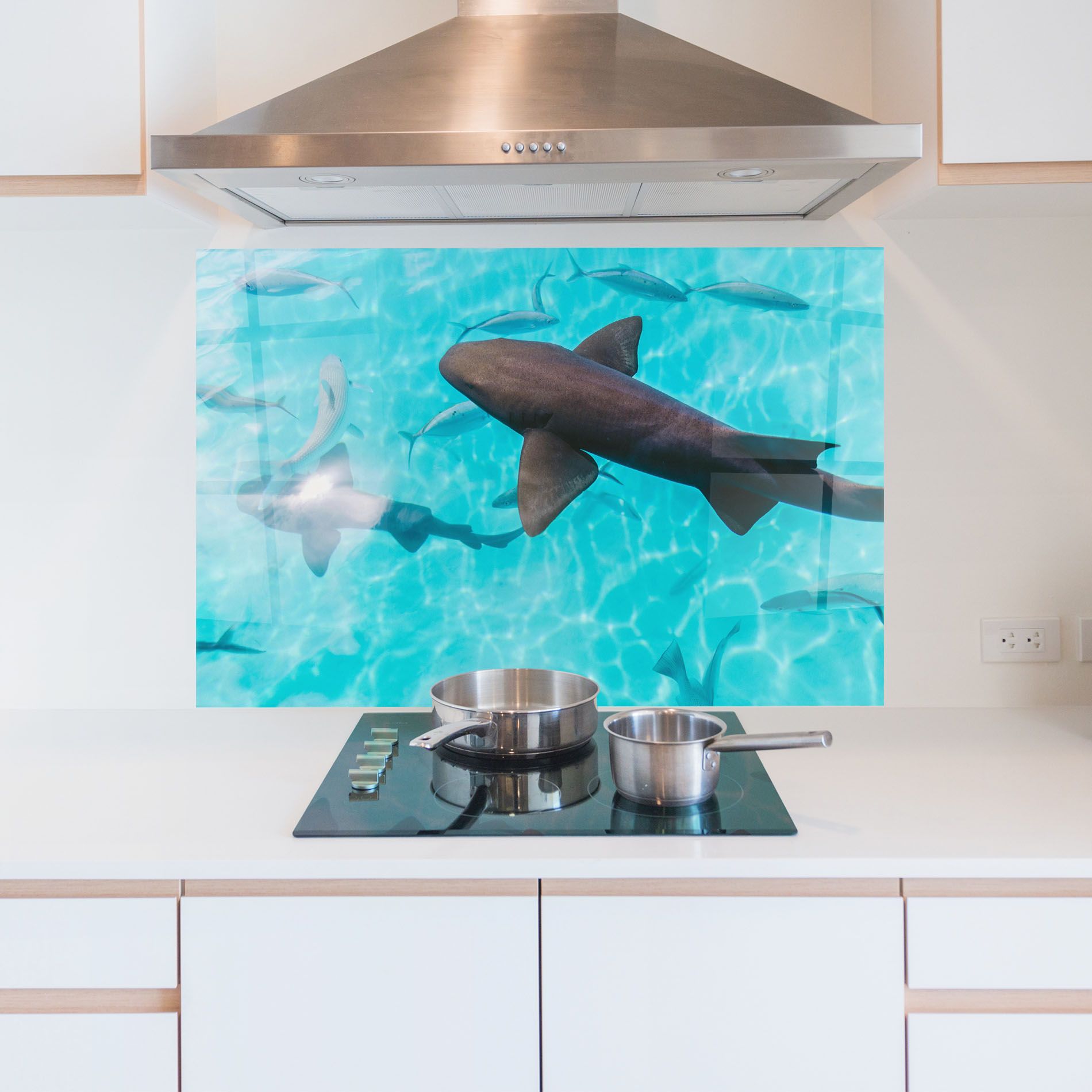 Pretty Shark mockup 5