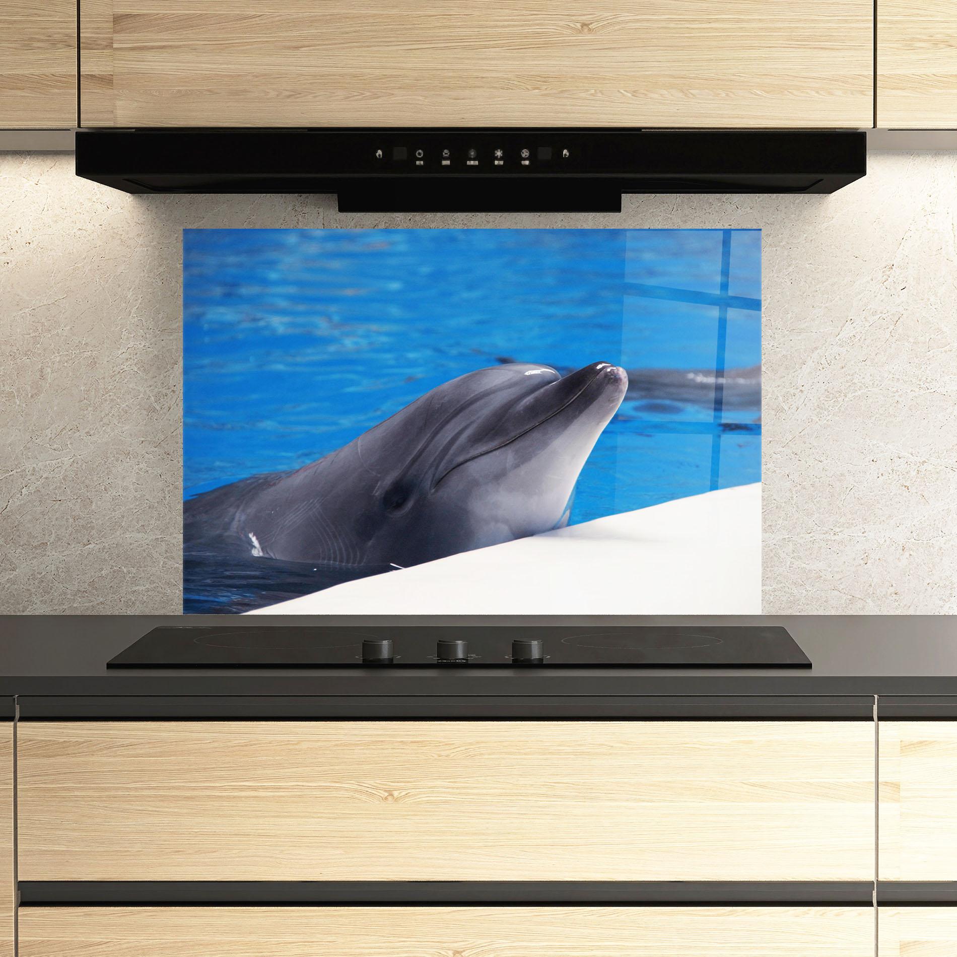 Стъклен панел за кухня Cute Dolphin mockup 3