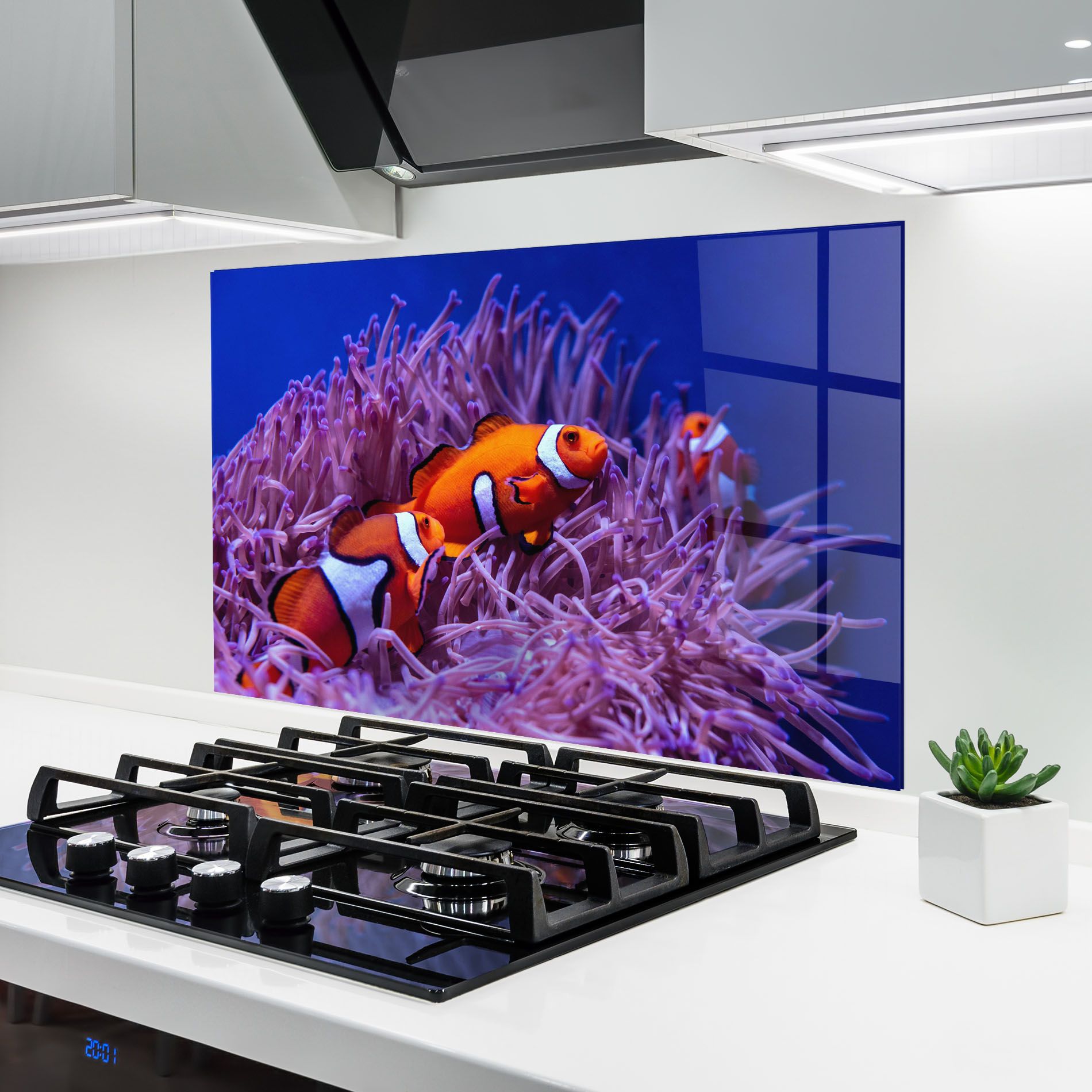 Nemo Family mockup 6