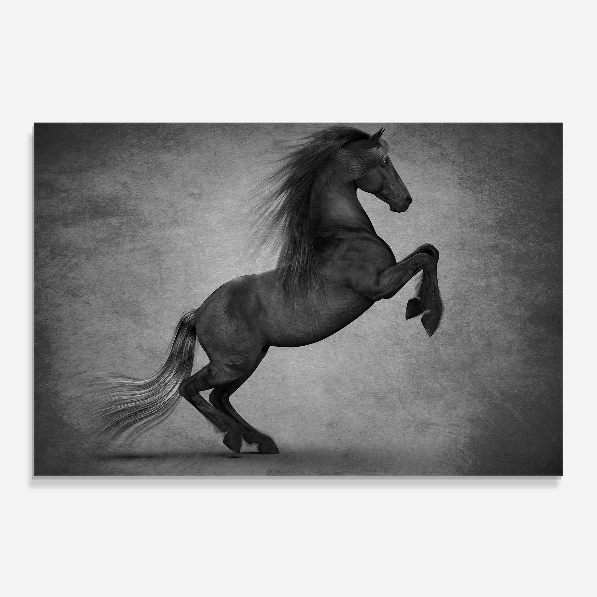 Стъклен панел за кухня Black Horse Jumping mockup 0