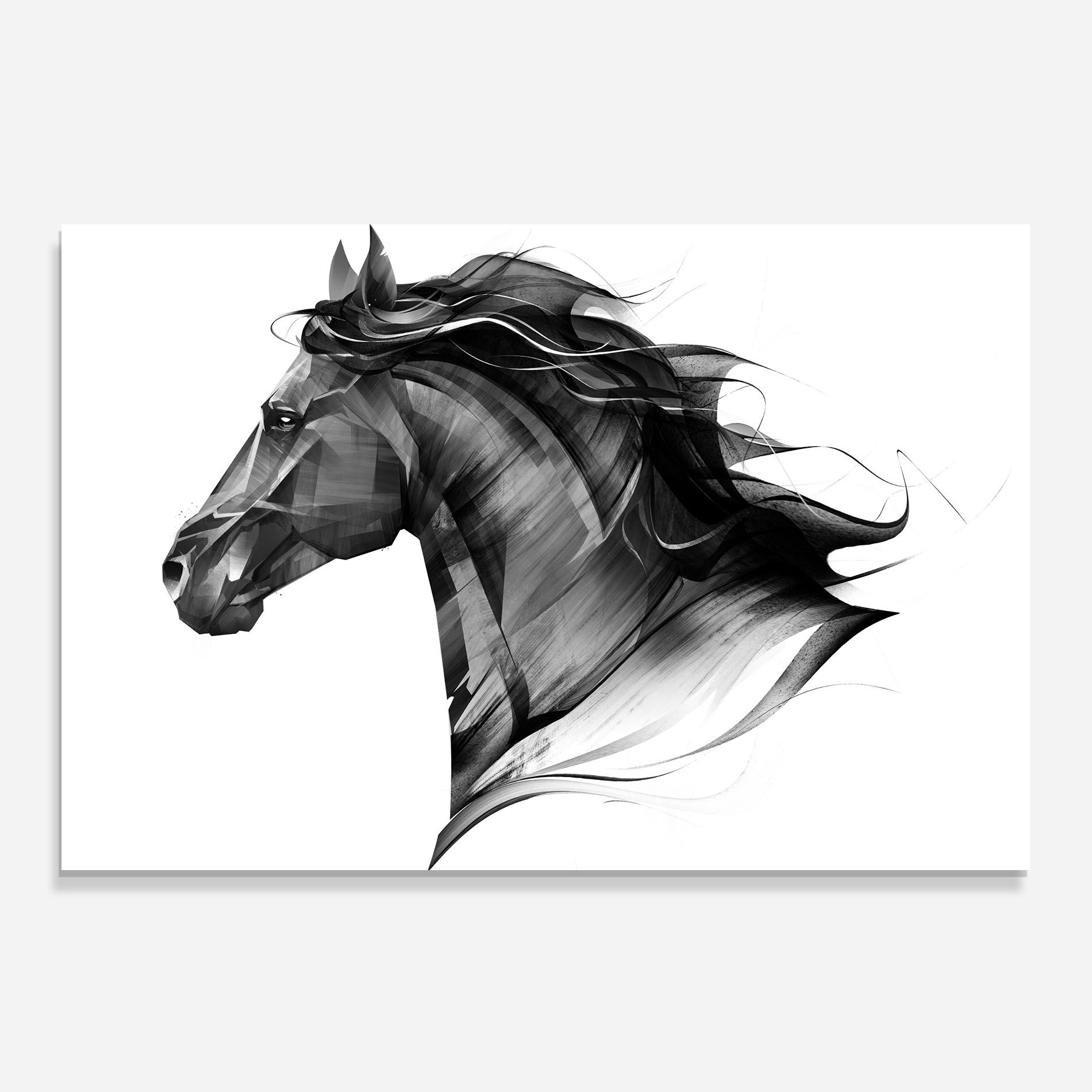 Black Portrait Horse mockup 0