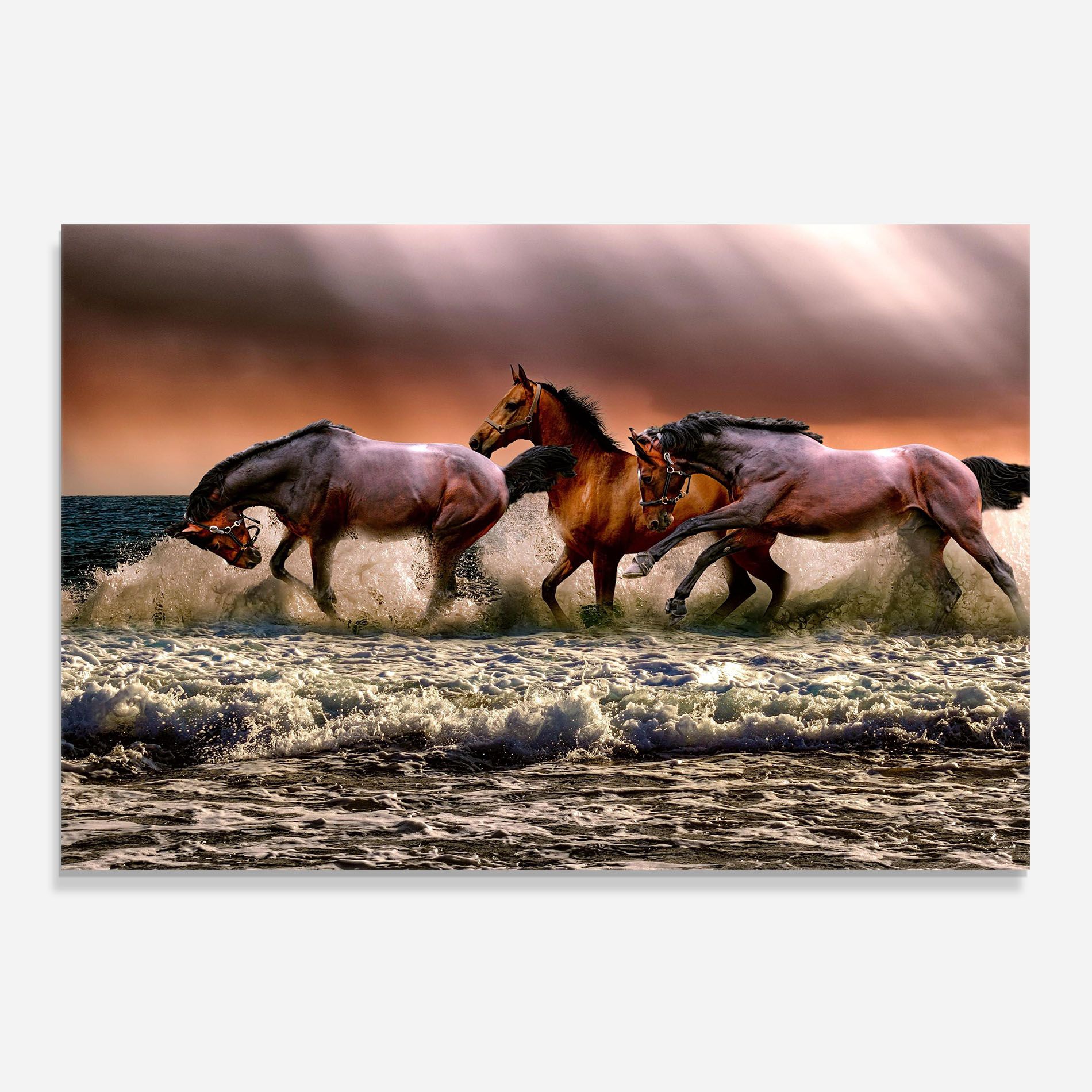 Horse In Sea mockup 0