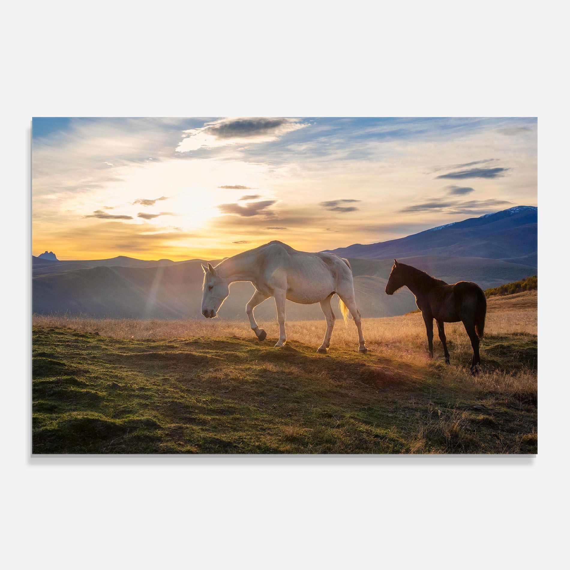 Mountain White Horse mockup 0