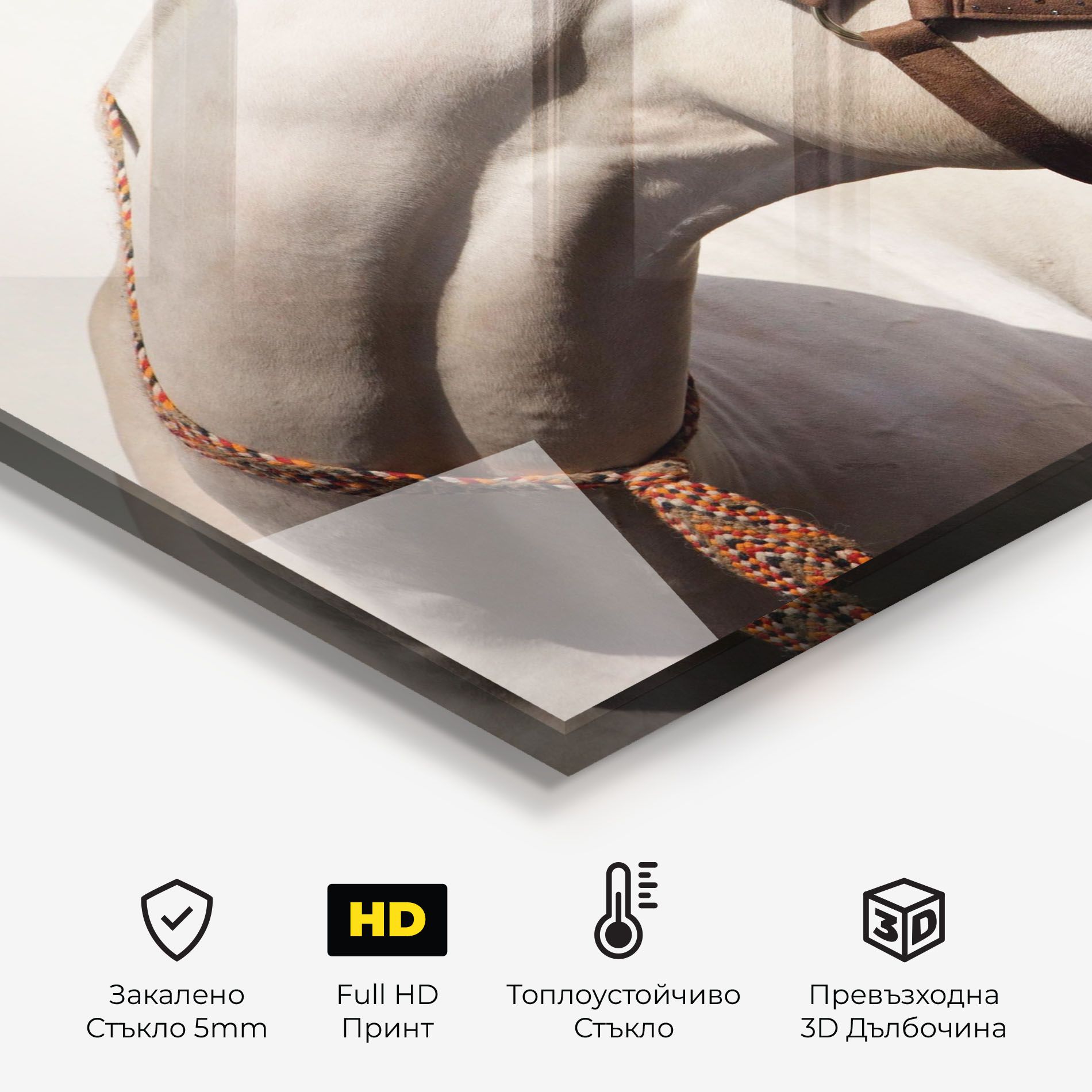 Blue Eye Horse mockup 2