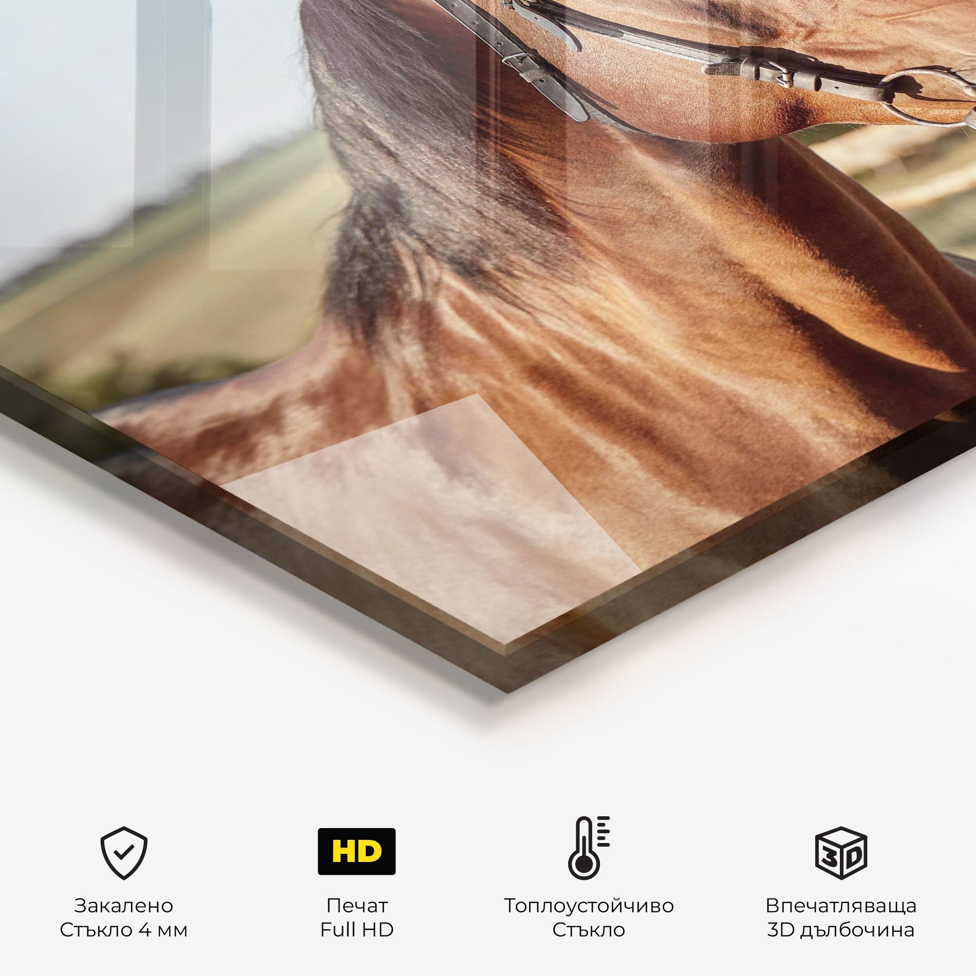 Стъклен панел за кухня Brown Horse Close Up mockup 2