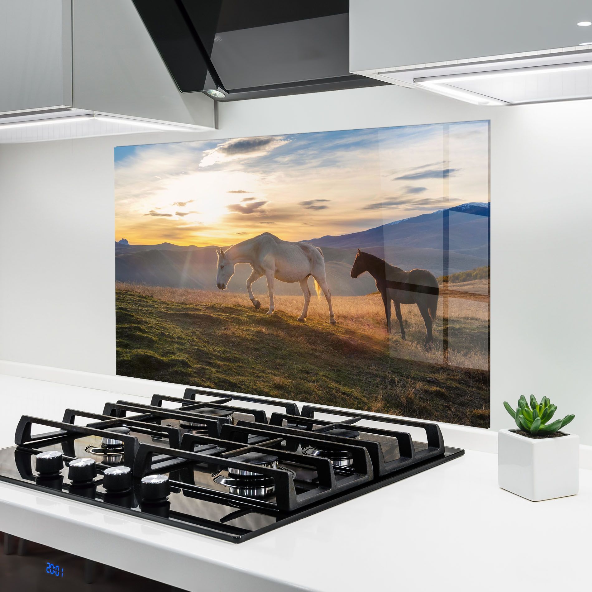 Mountain White Horse mockup 6