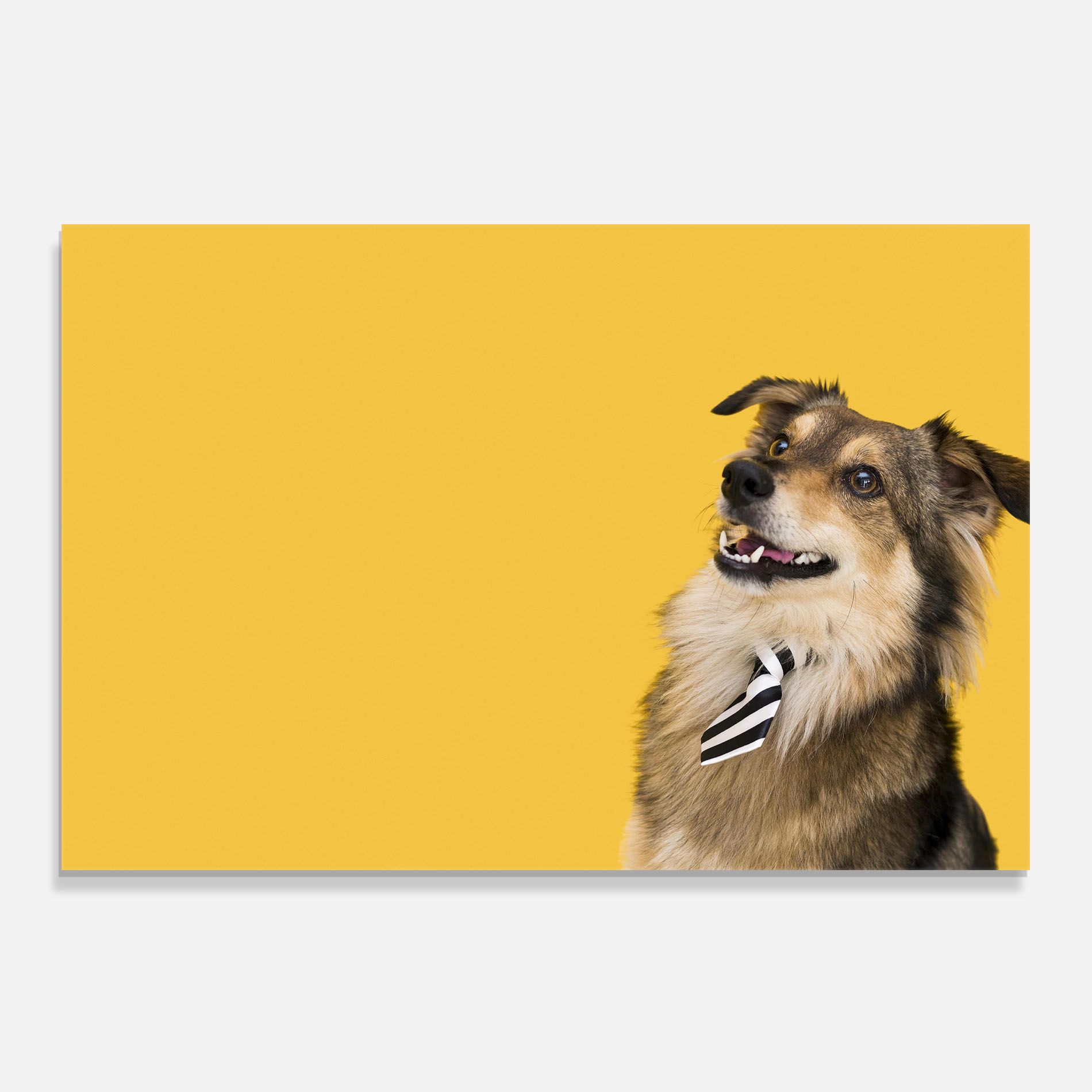 Cute Smiling Dog mockup 0