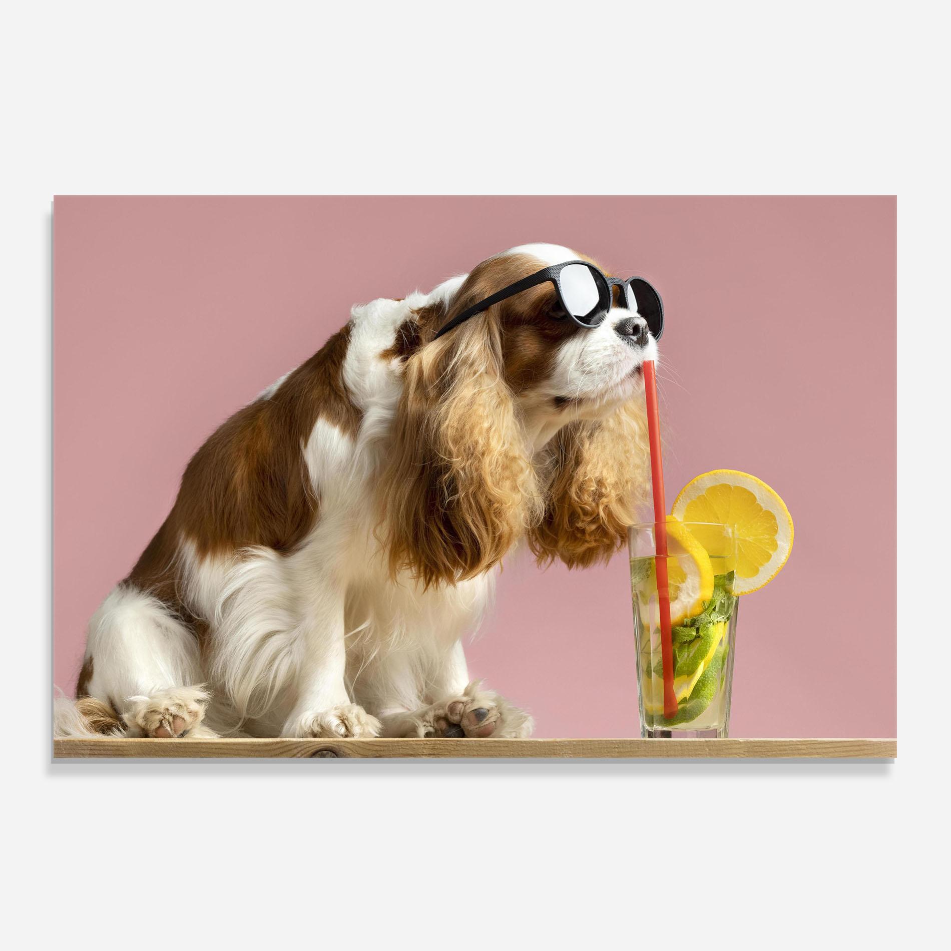 Стъклен панел за кухня Dog With Juice mockup 0