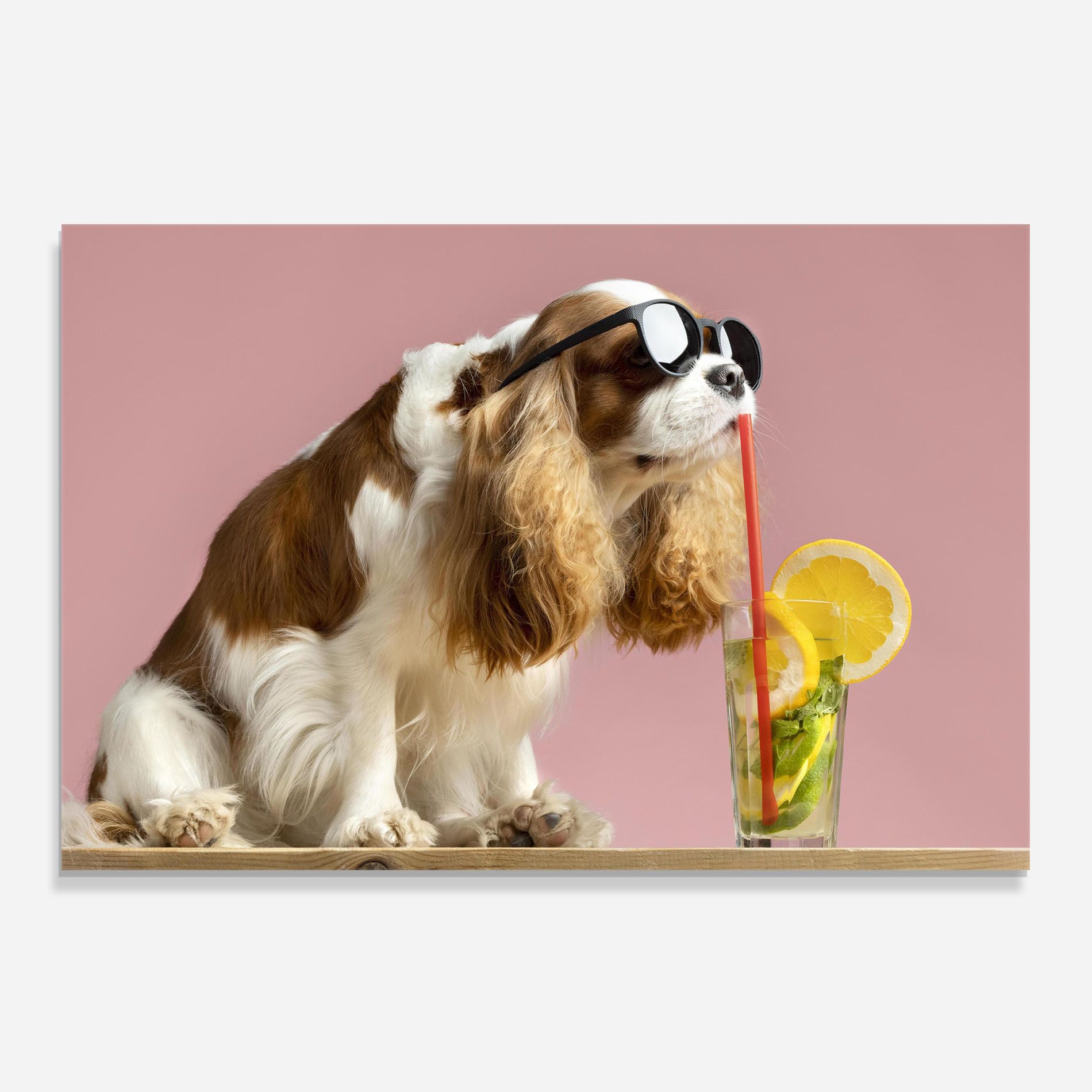Dog With Juice mockup 0