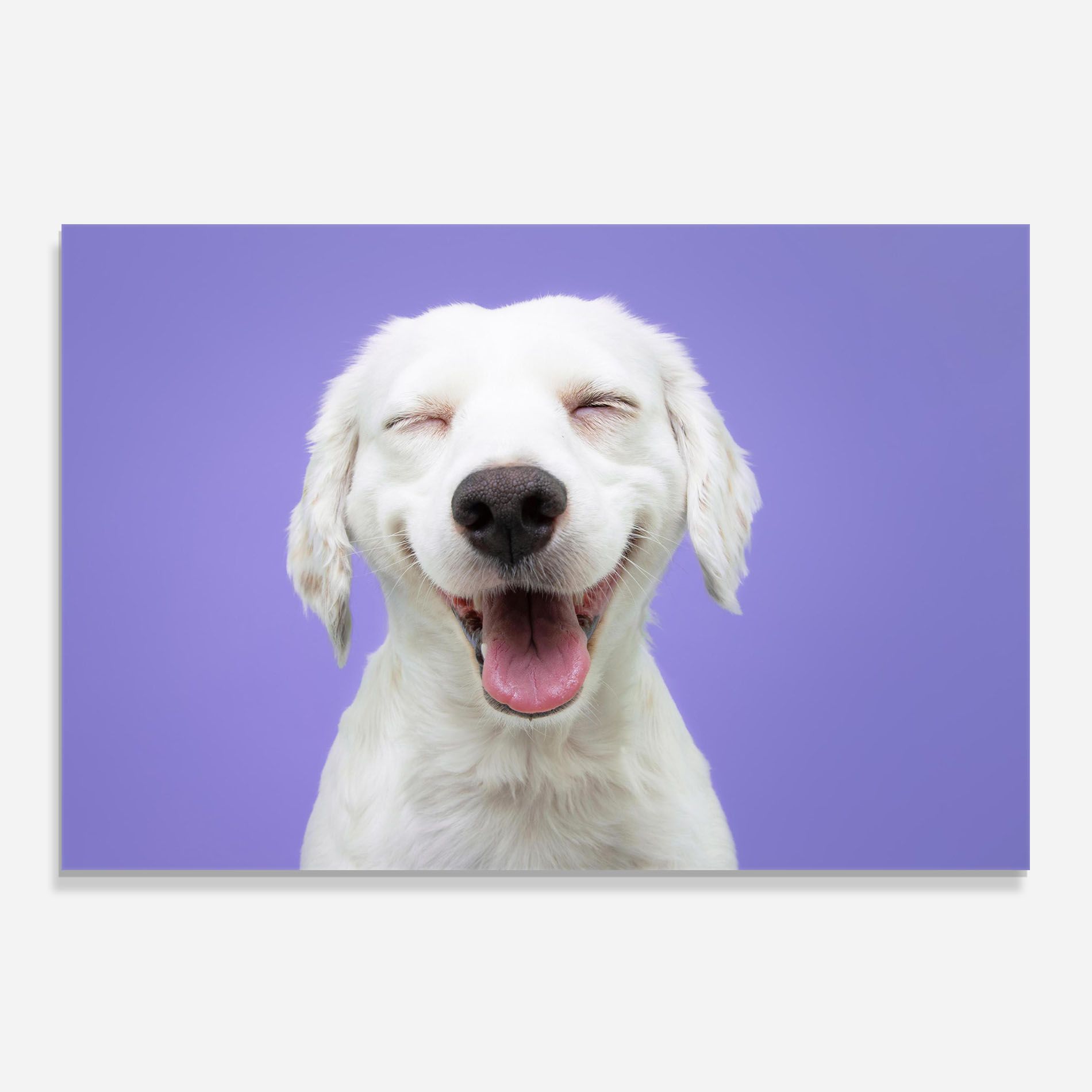 Happy Whit Puppy mockup 0