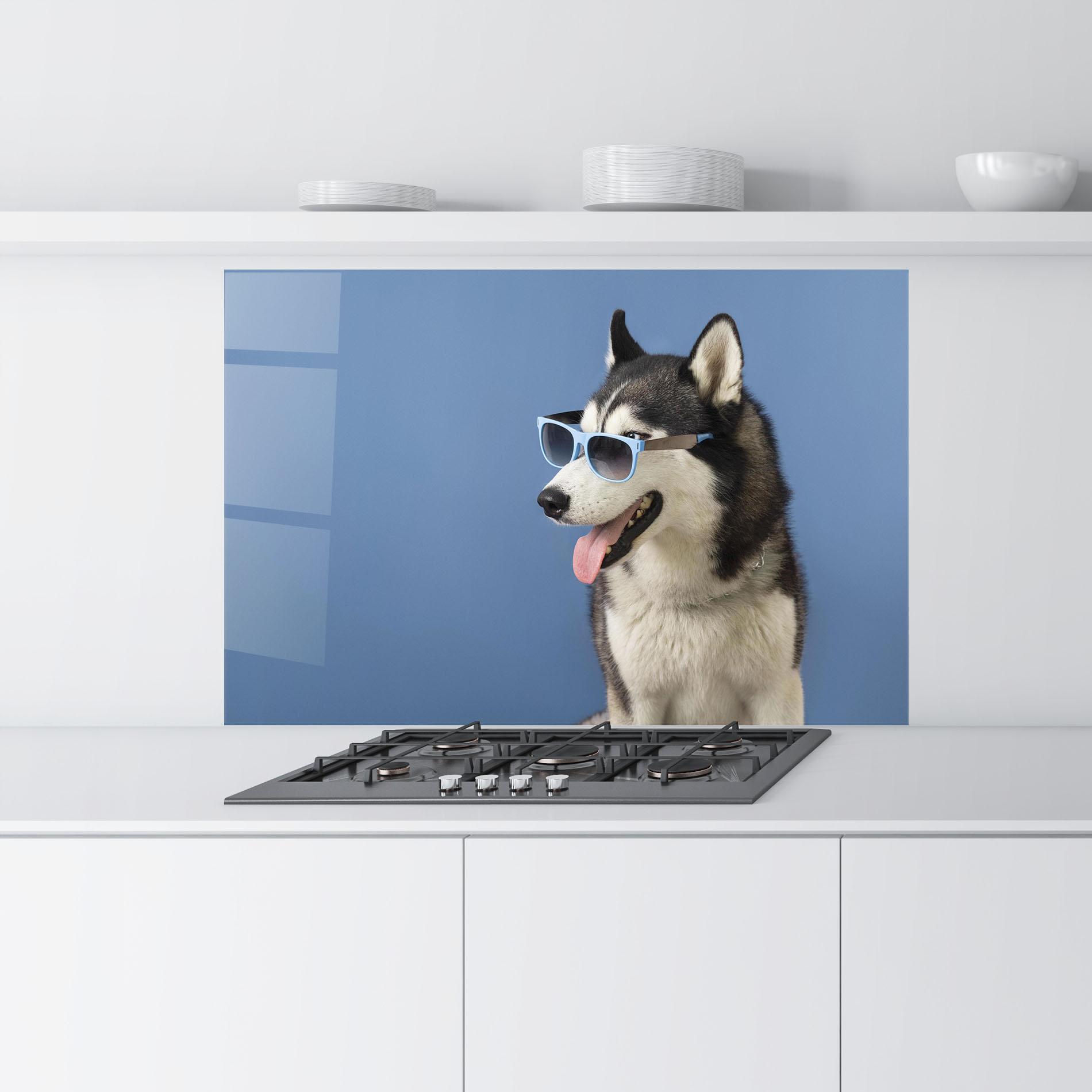Стъклен панел за кухня Blue Glasses Dog mockup 9