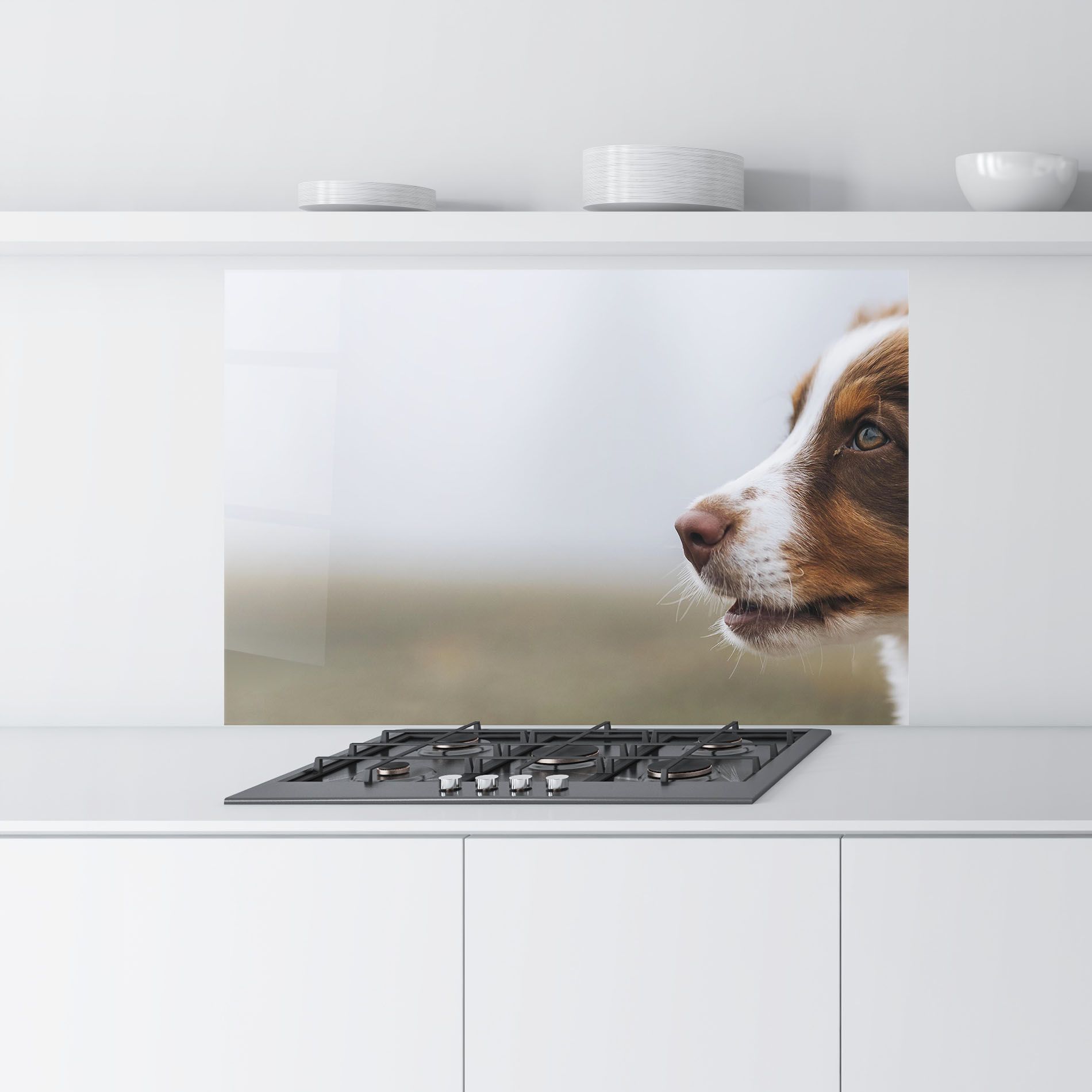 Brown White Dog mockup 9