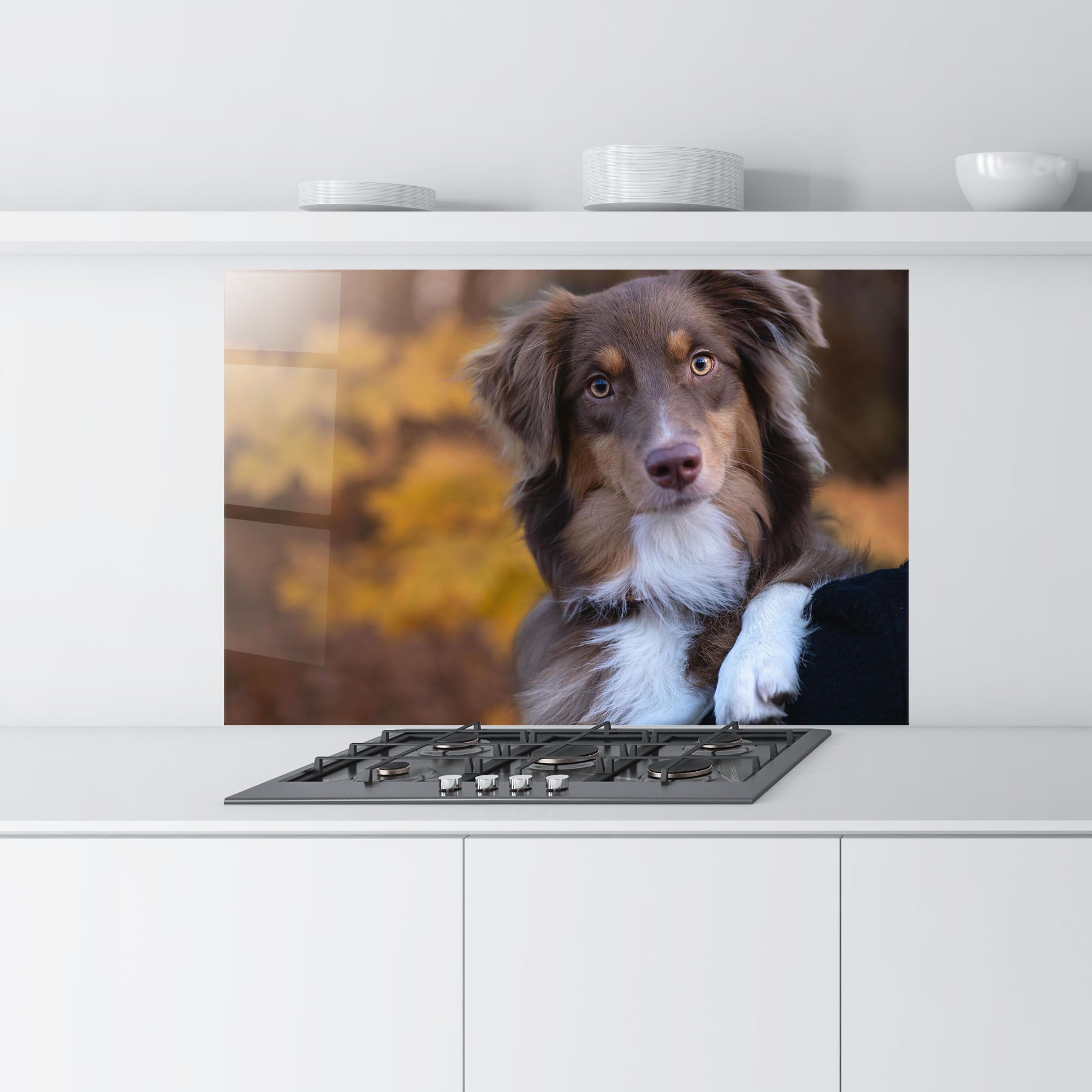 Coffee Brown Dog mockup 9