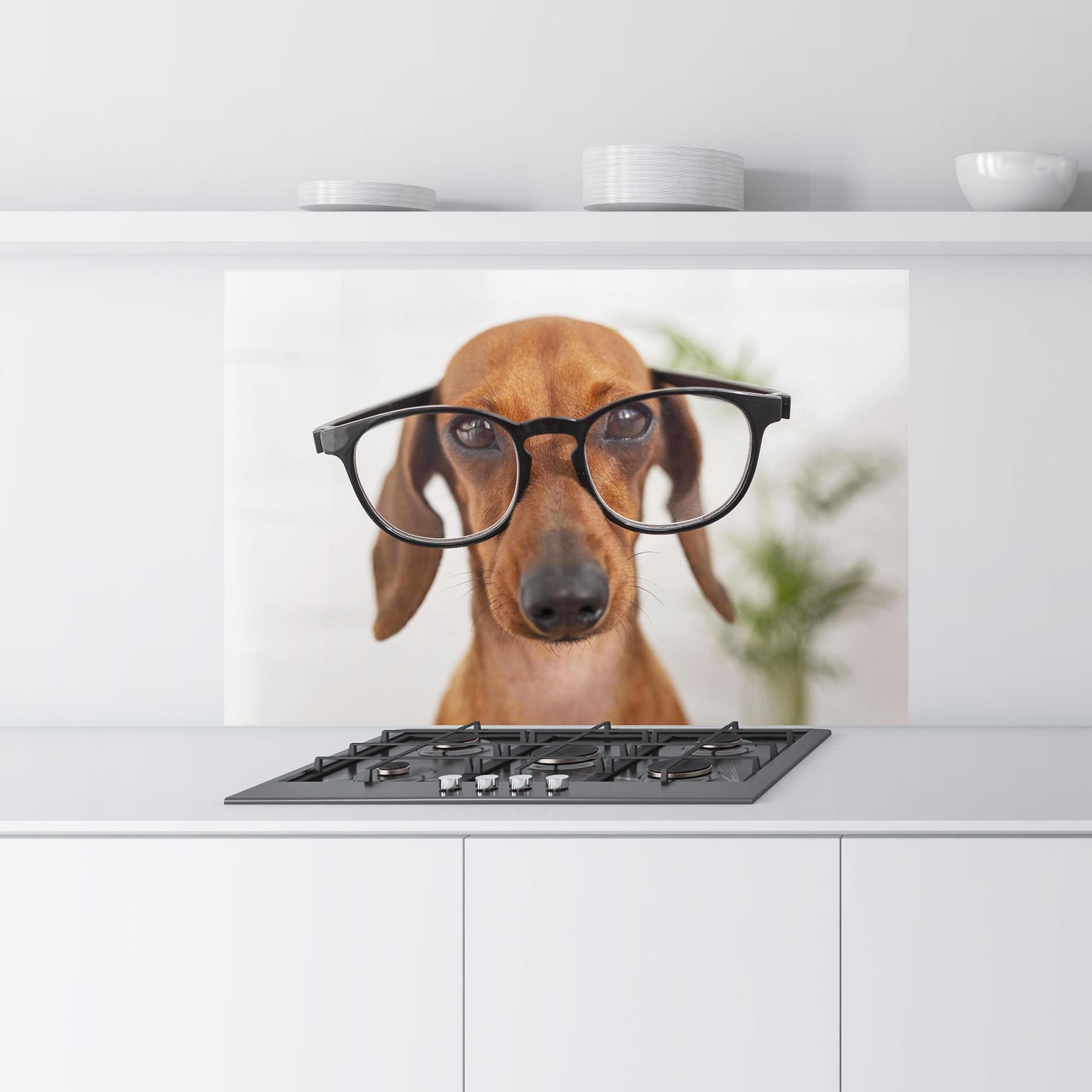 Стъклен панел за кухня Dog Wearing Glasses mockup 9