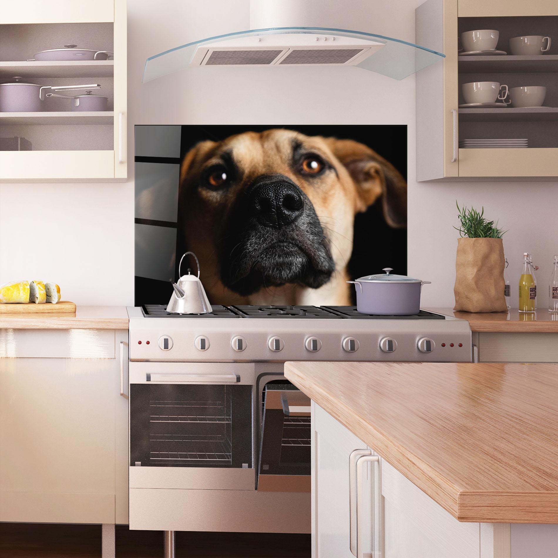 Стъклен панел за кухня Black Nose Dog mockup 1