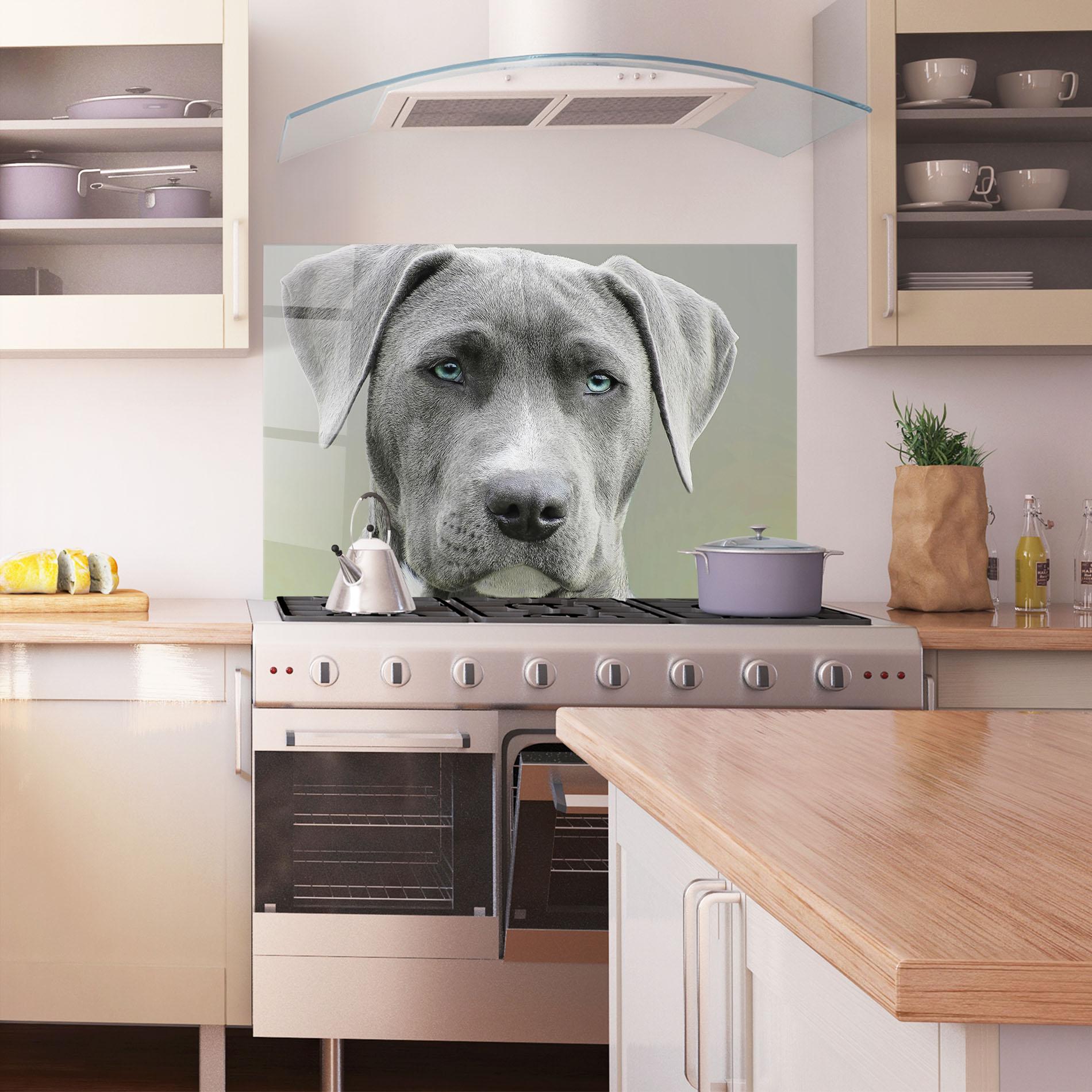 Стъклен панел за кухня Blue Eyes Dog mockup 1