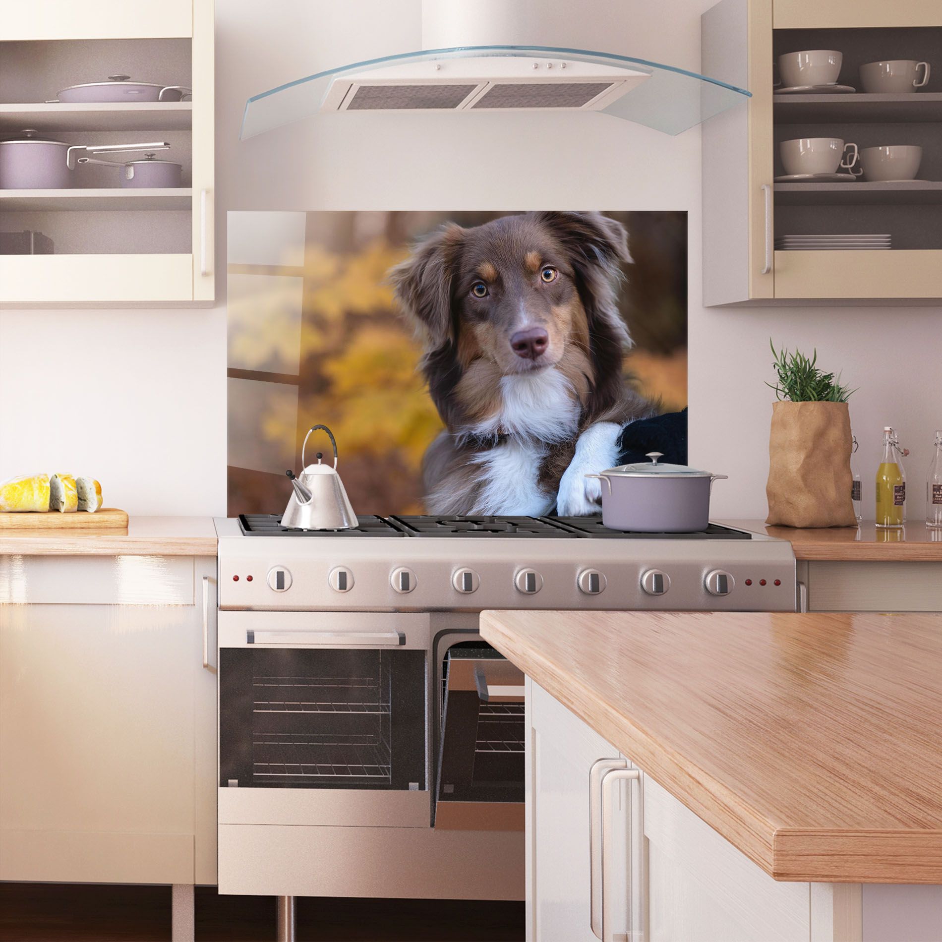 Coffee Brown Dog mockup 1