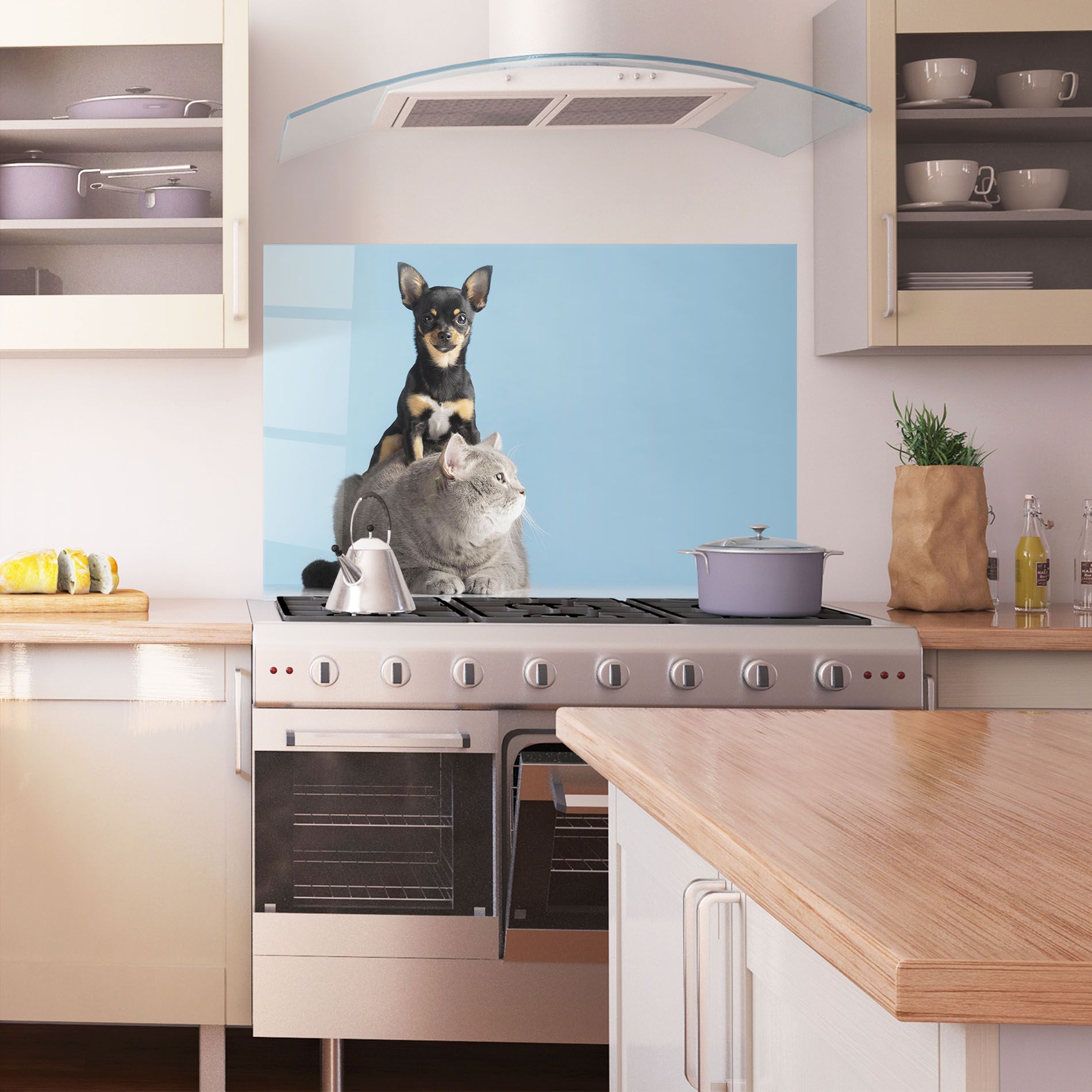 Dog Grey Cat mockup 1