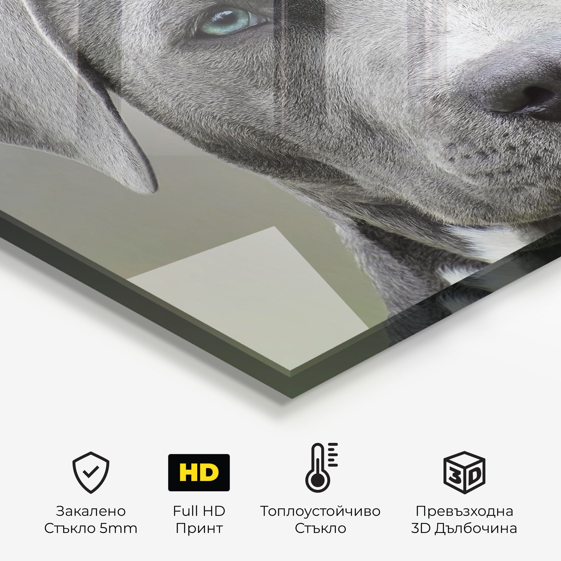 Blue Eyes Dog mockup 2