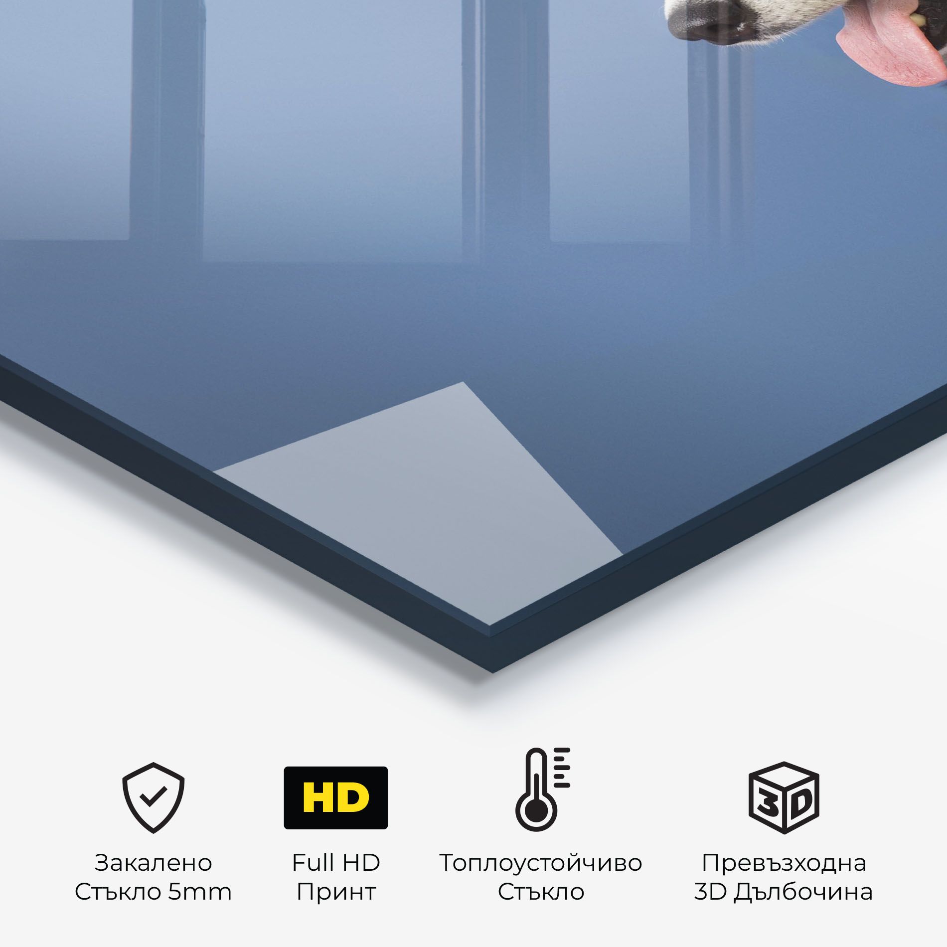 Blue Glasses Dog mockup 2