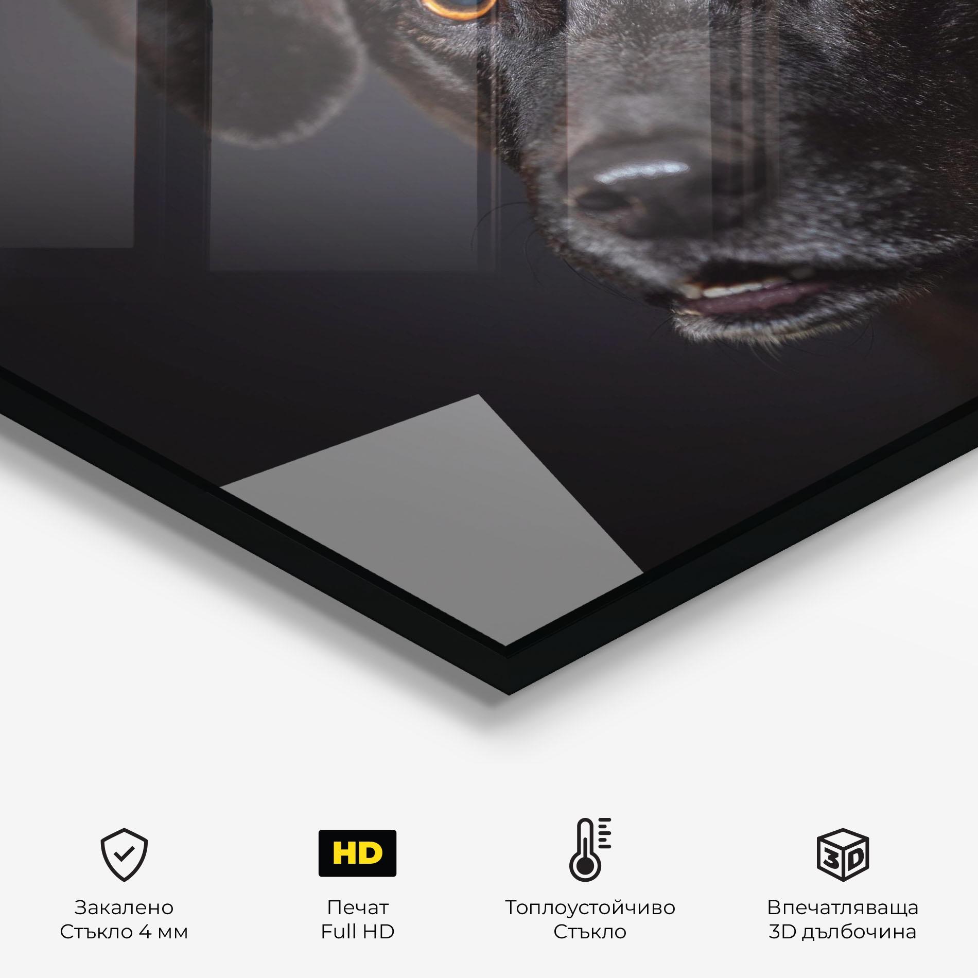 Стъклен панел за кухня Black Dog Portrait mockup 2