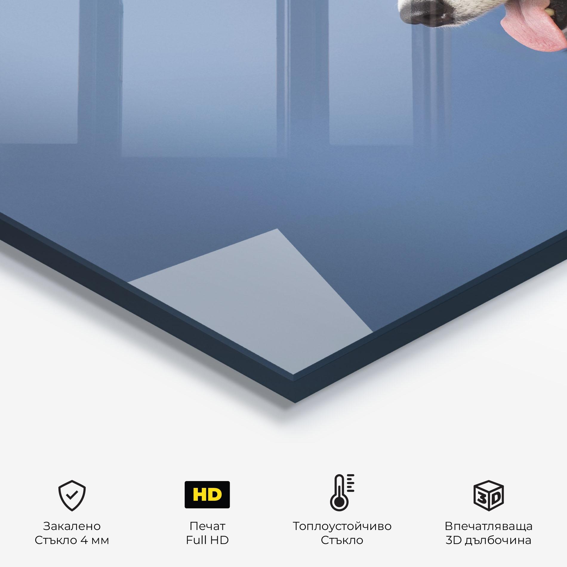 Стъклен панел за кухня Blue Glasses Dog mockup 2