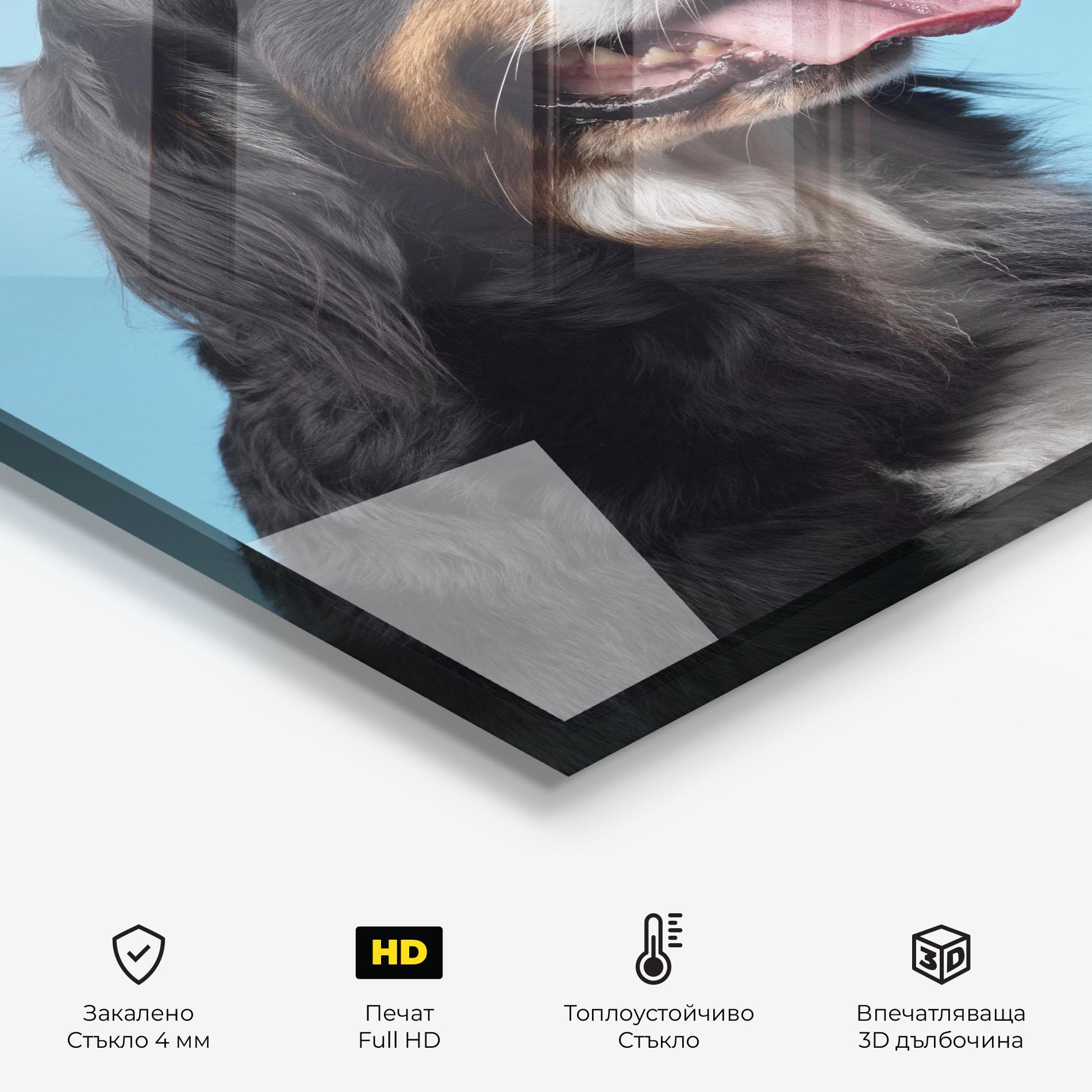 Стъклен панел за кухня Dog On Blue mockup 2