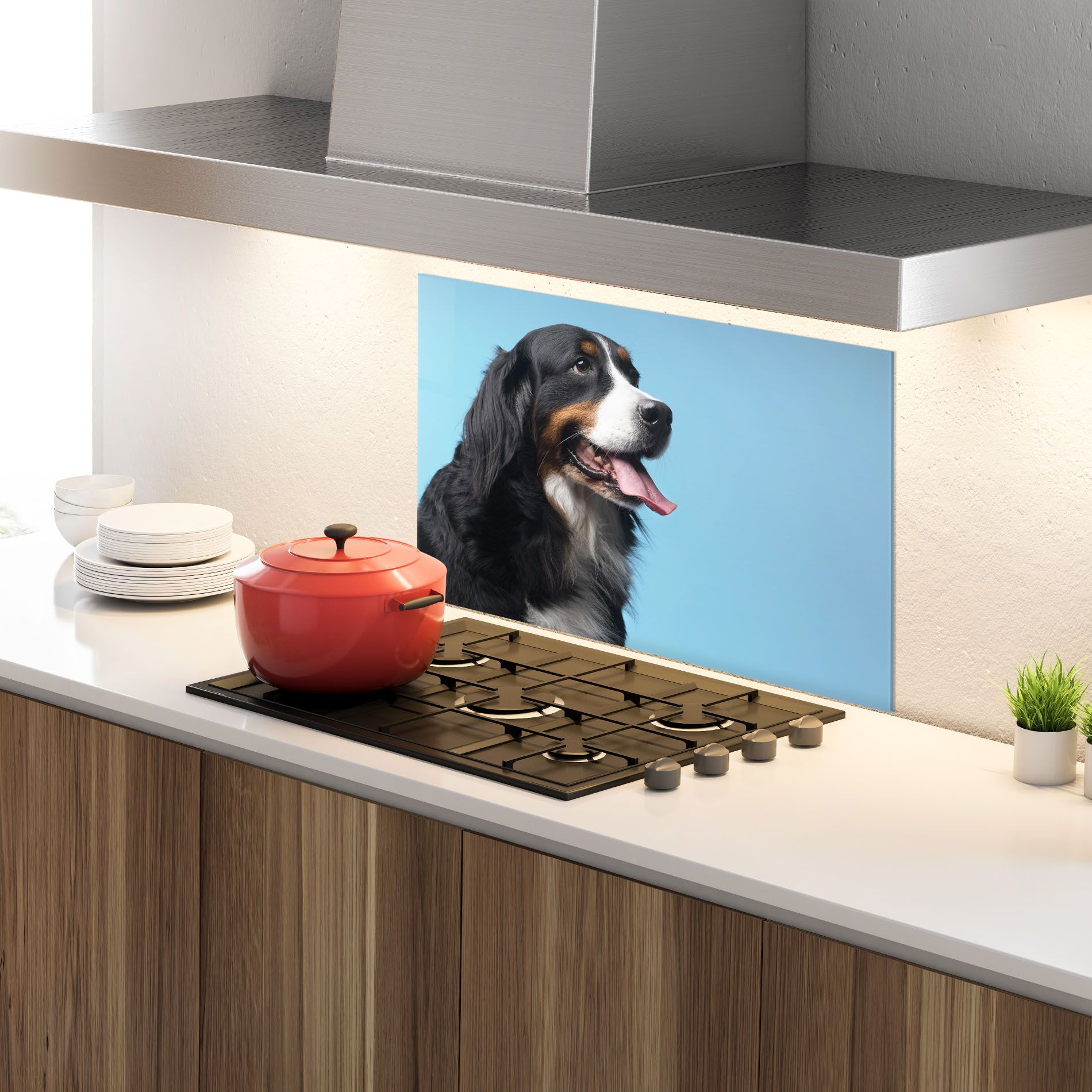 Dog On Blue mockup 4