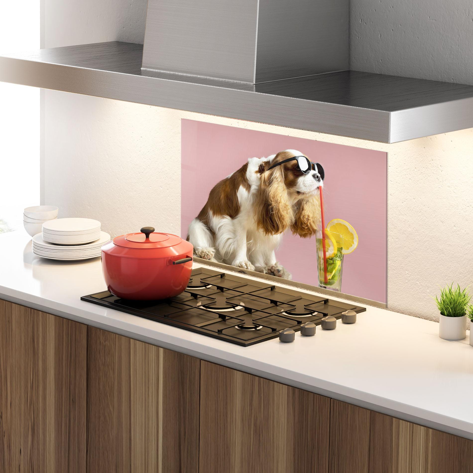Стъклен панел за кухня Dog With Juice mockup 4