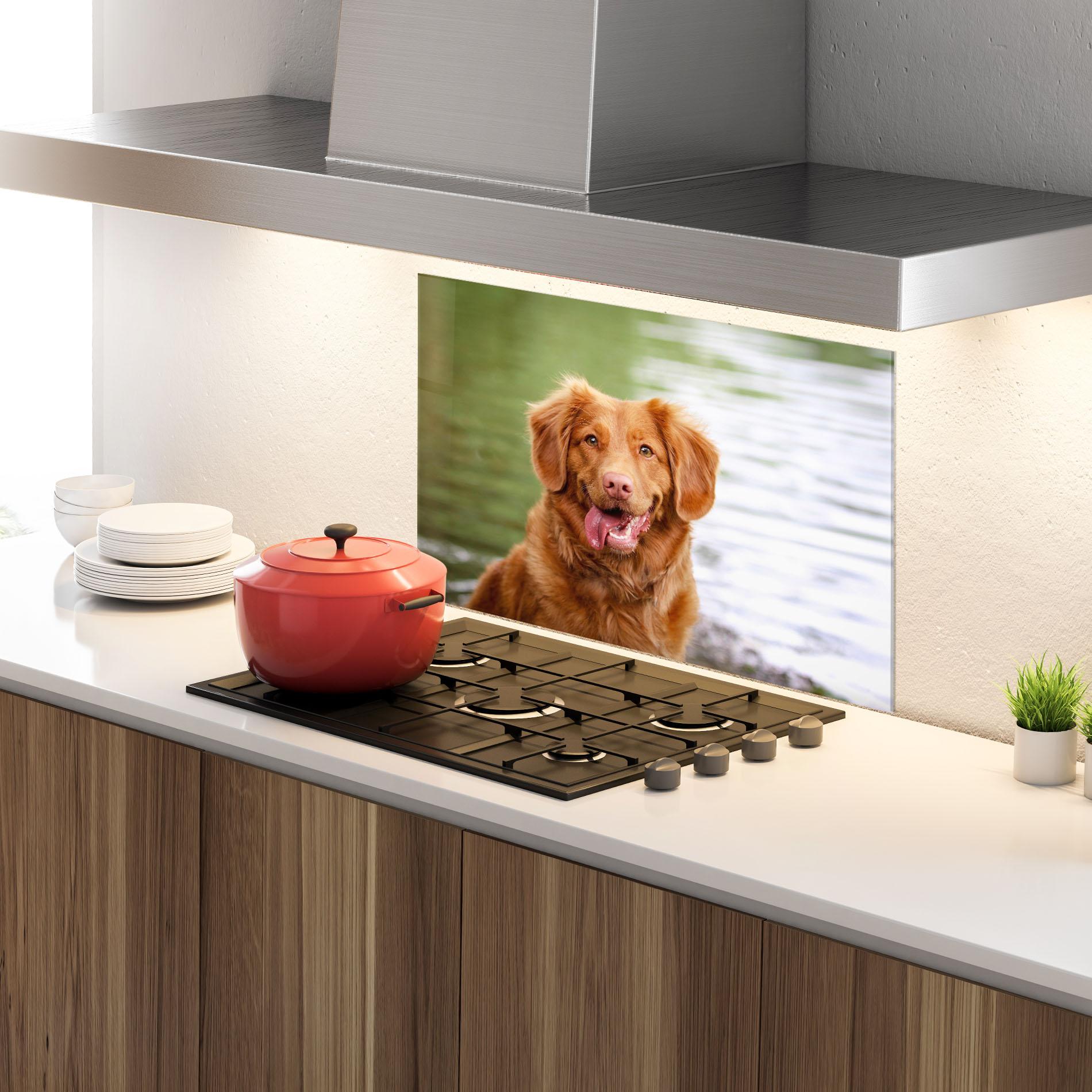 Стъклен панел за кухня Gren Water Dog mockup 4