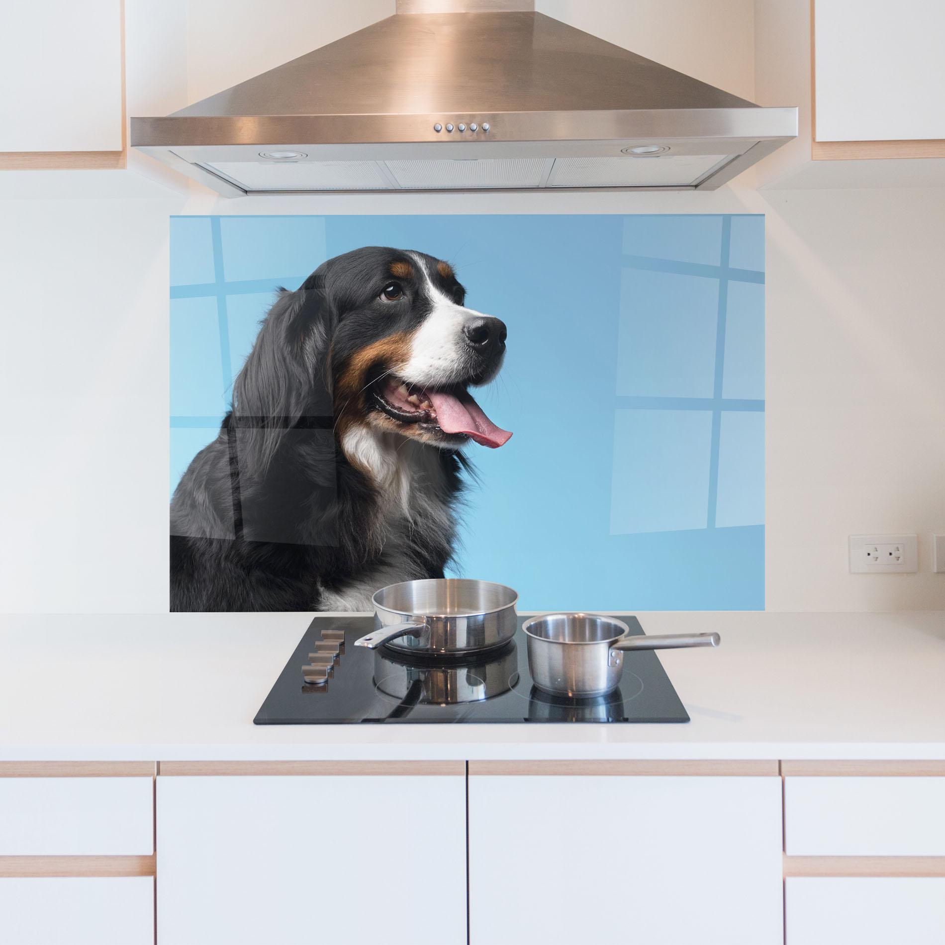 Стъклен панел за кухня Dog On Blue mockup 5